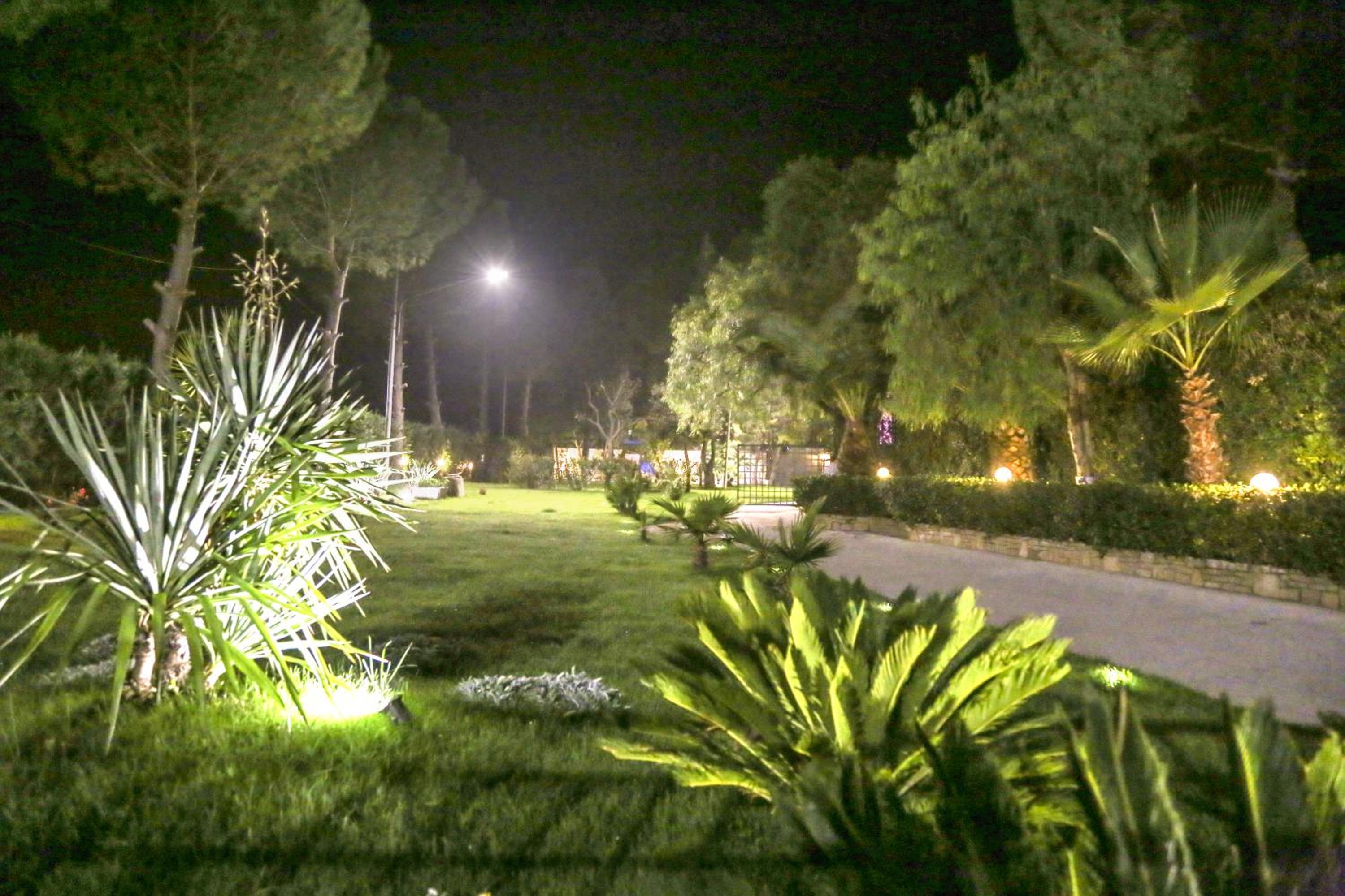 Photo 9