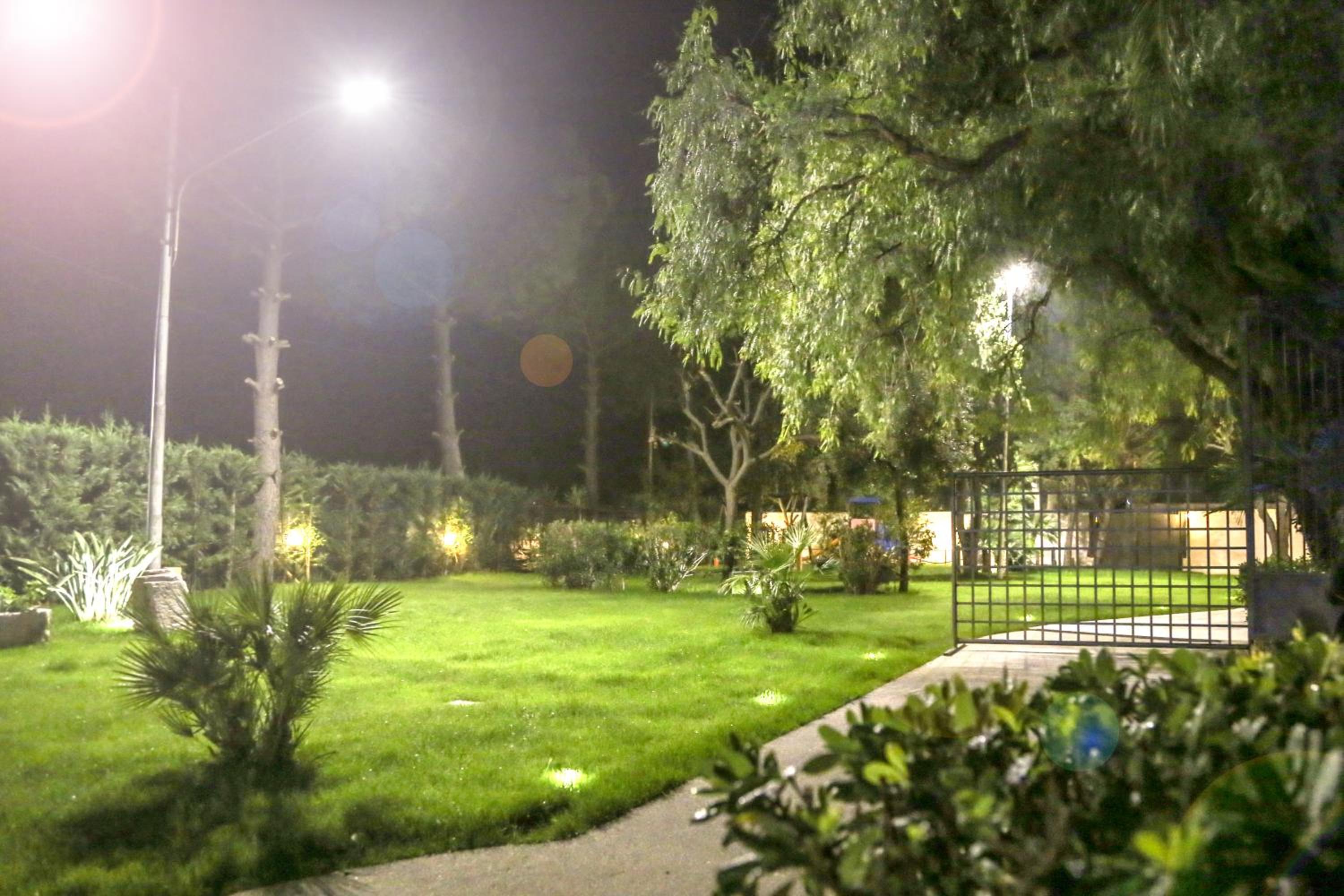 Photo 10