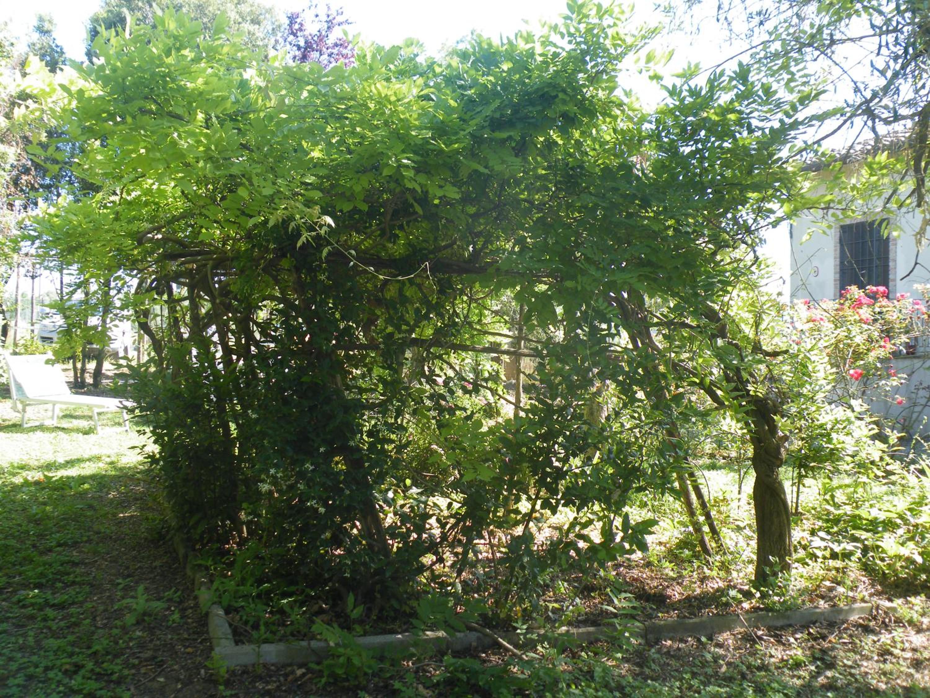 Photo 37