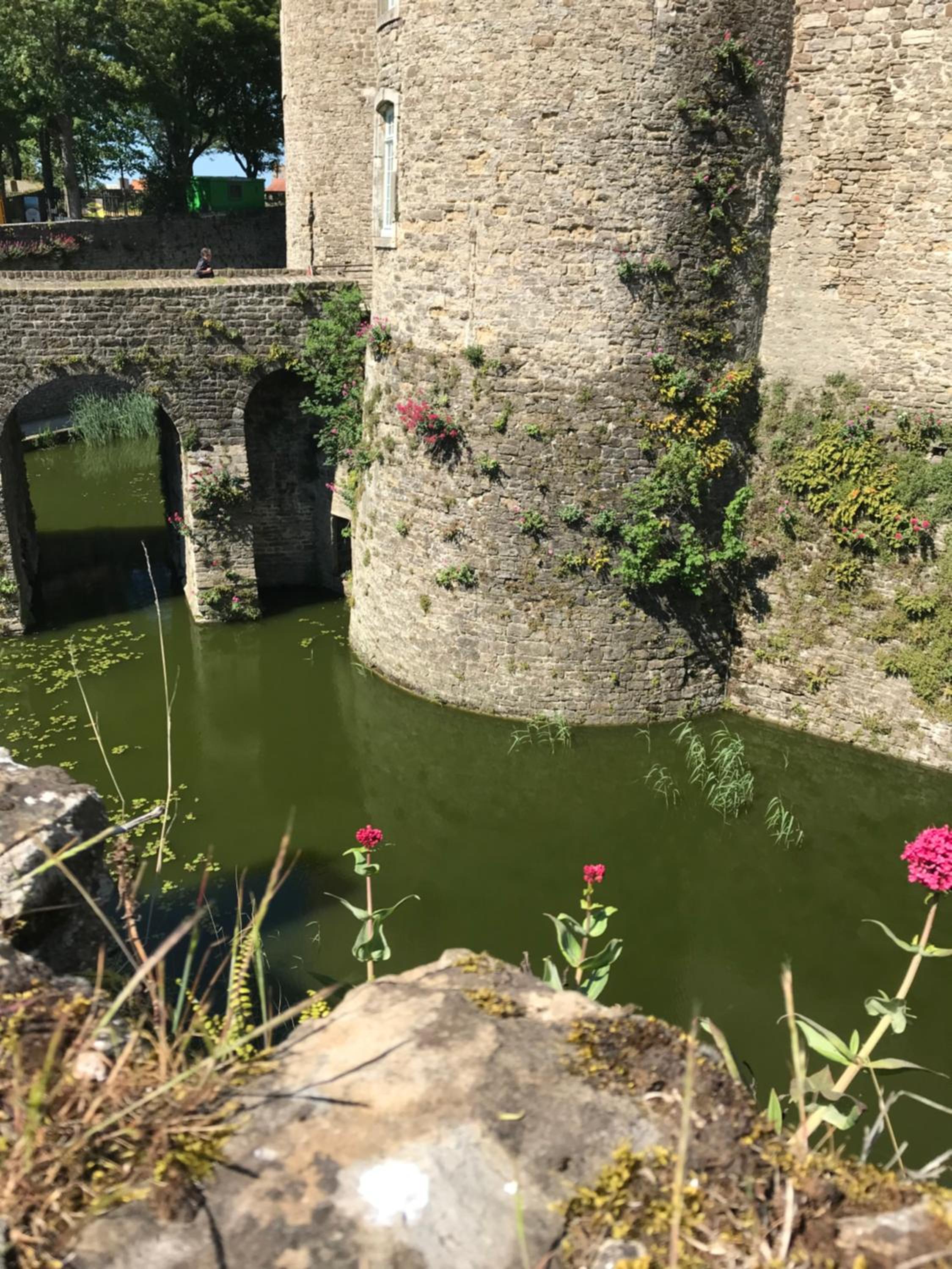 Chambres d'hôtes du château, photo 22