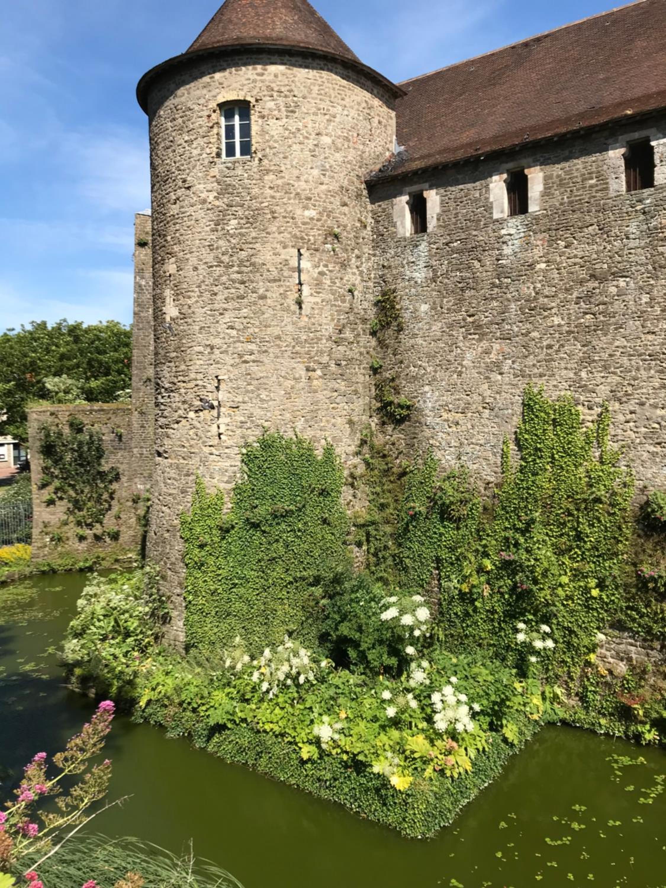 Chambres d'hôtes du château, photo 28