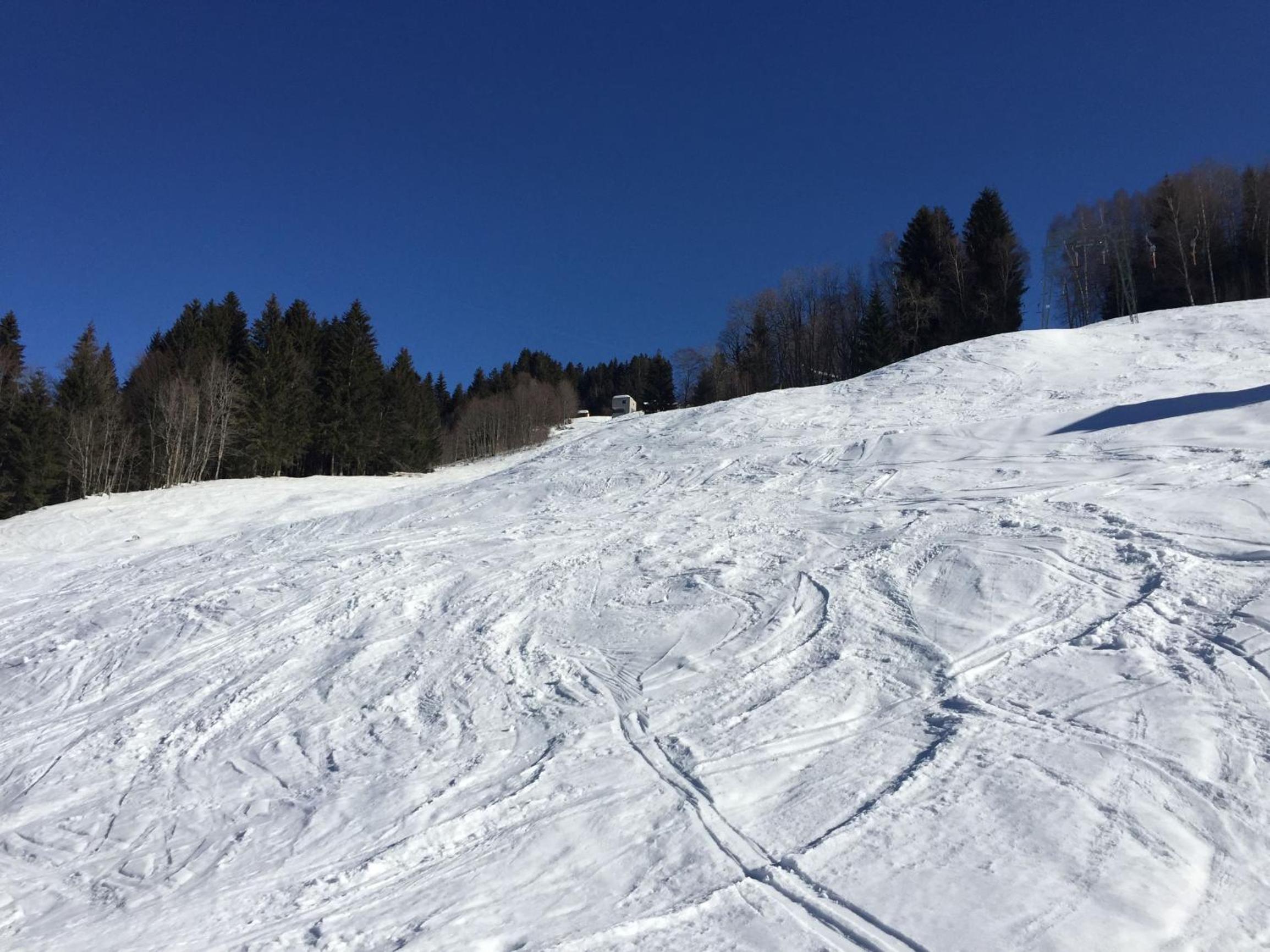 Berg & Skihütte -Schmittenhof