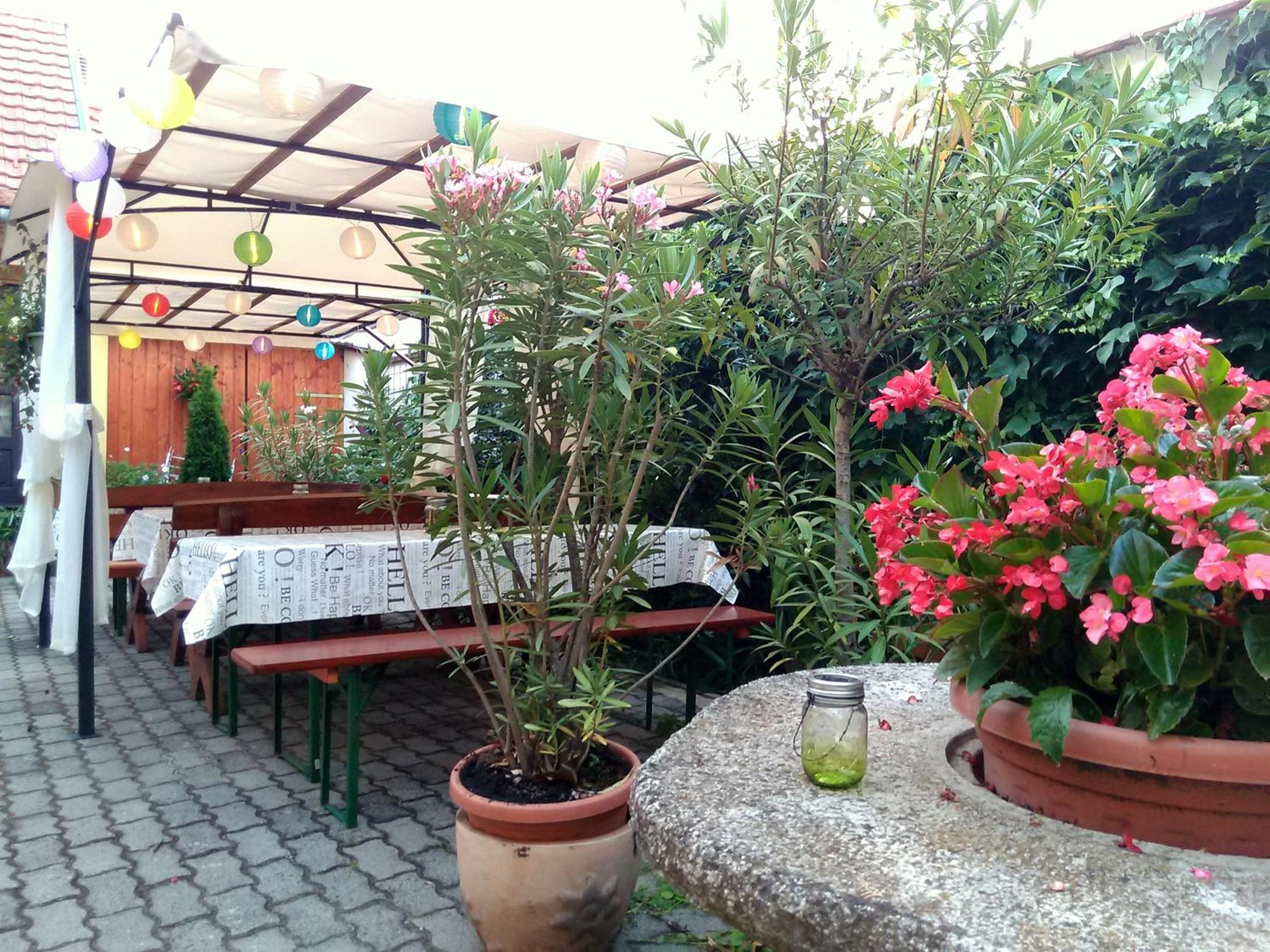 Photo 33