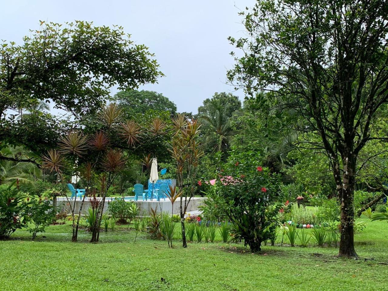 Photo 47