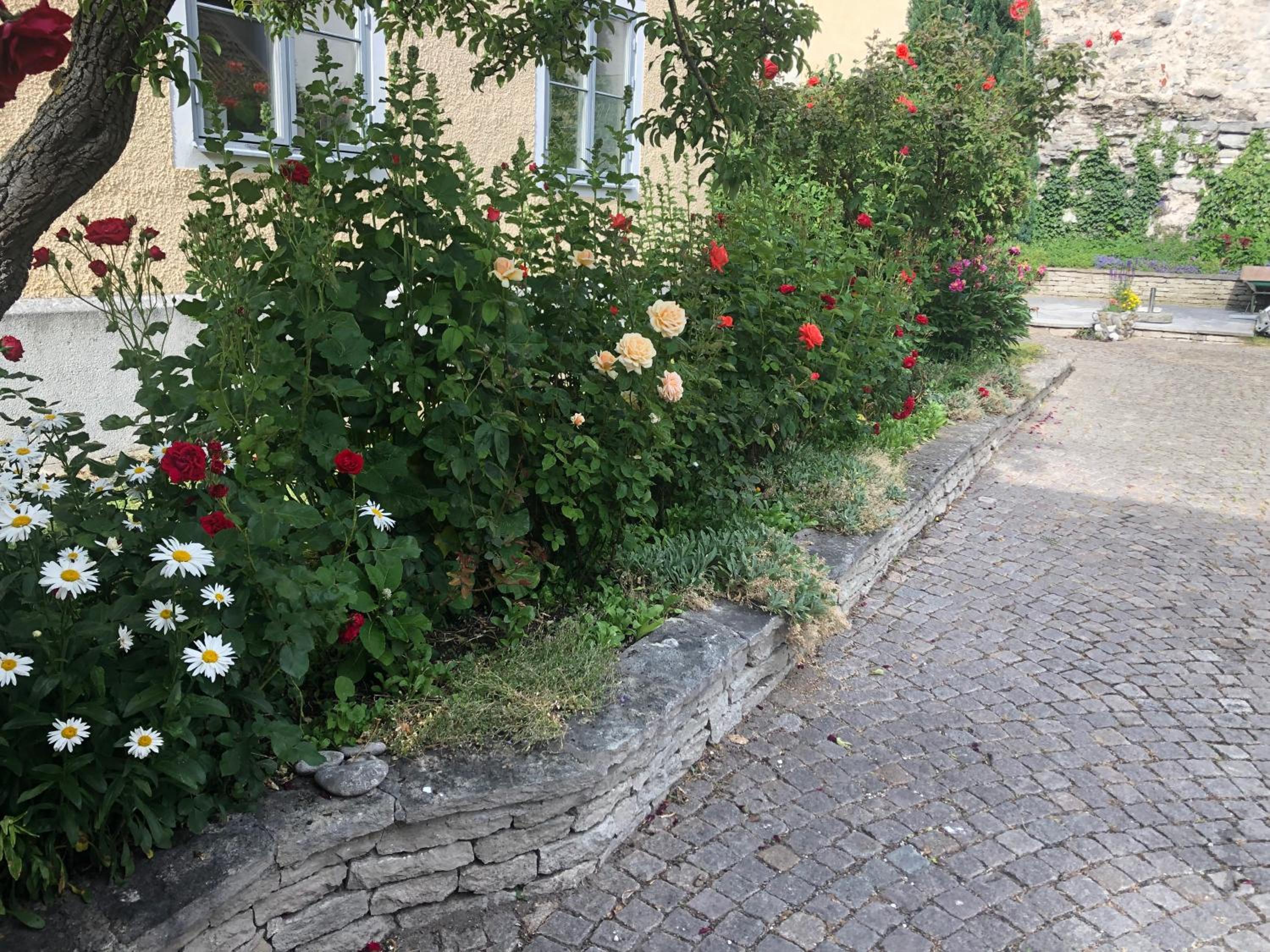 Photo 14