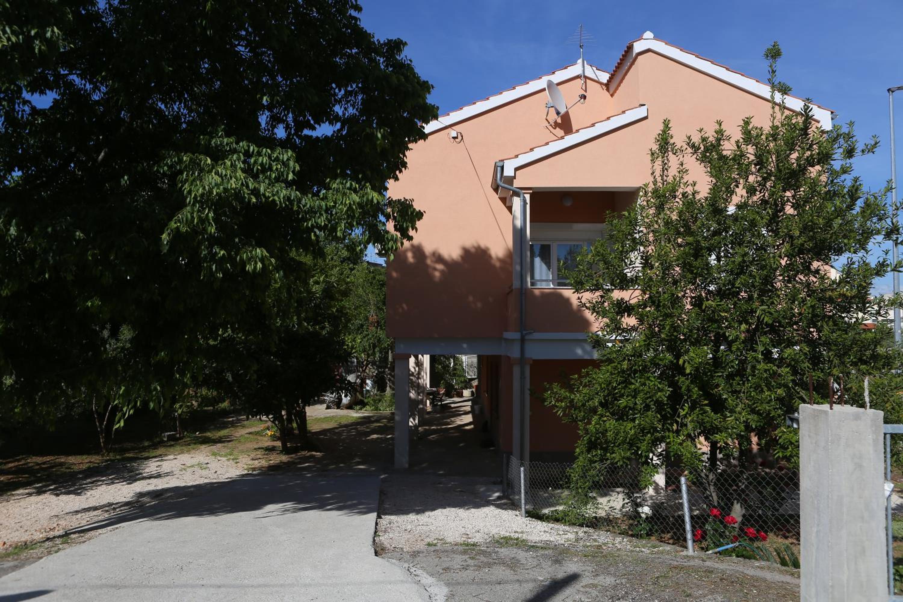 Photo 8