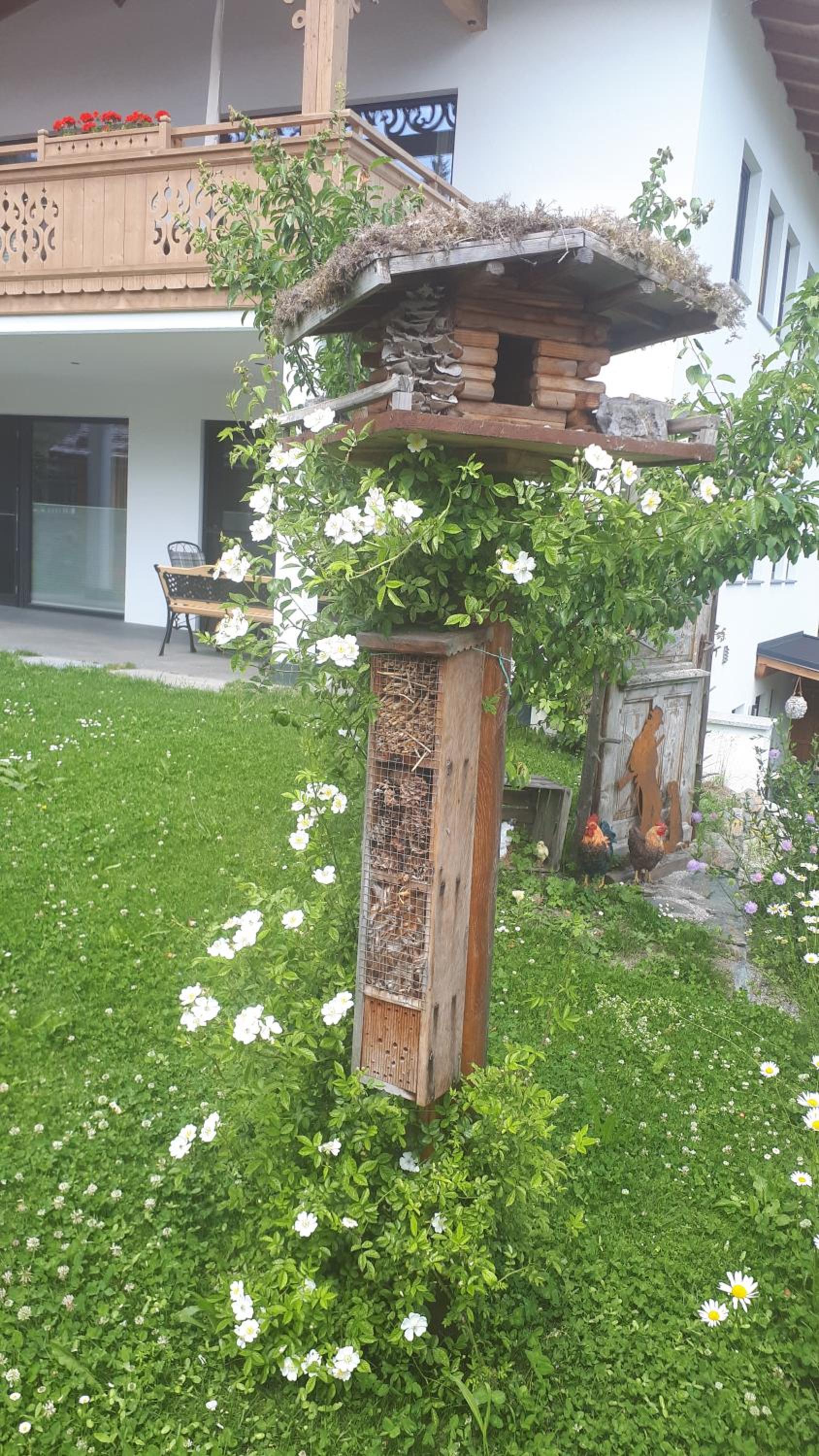 Photo 41