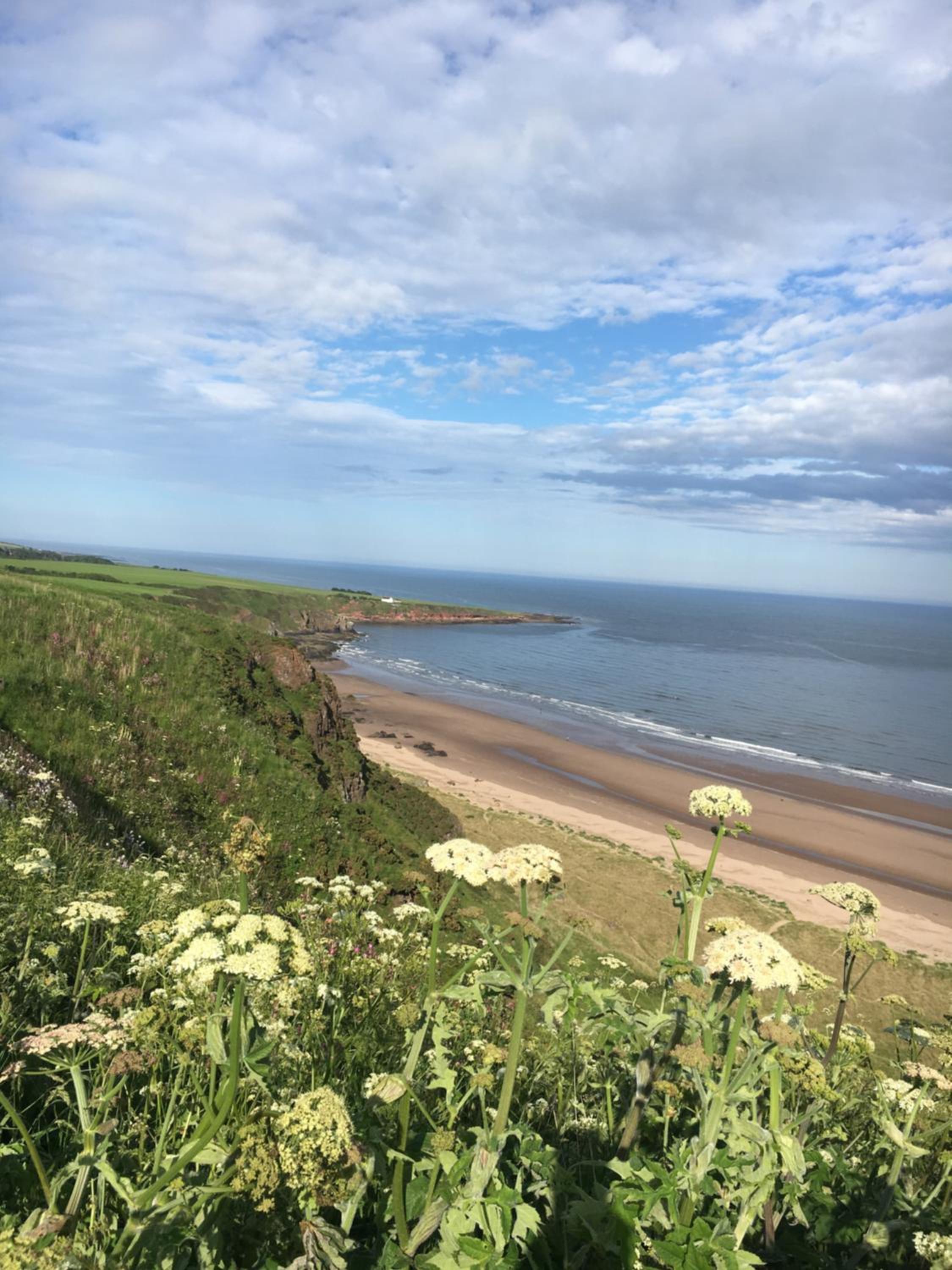 Dunnottar Woods Cottage, photo 9