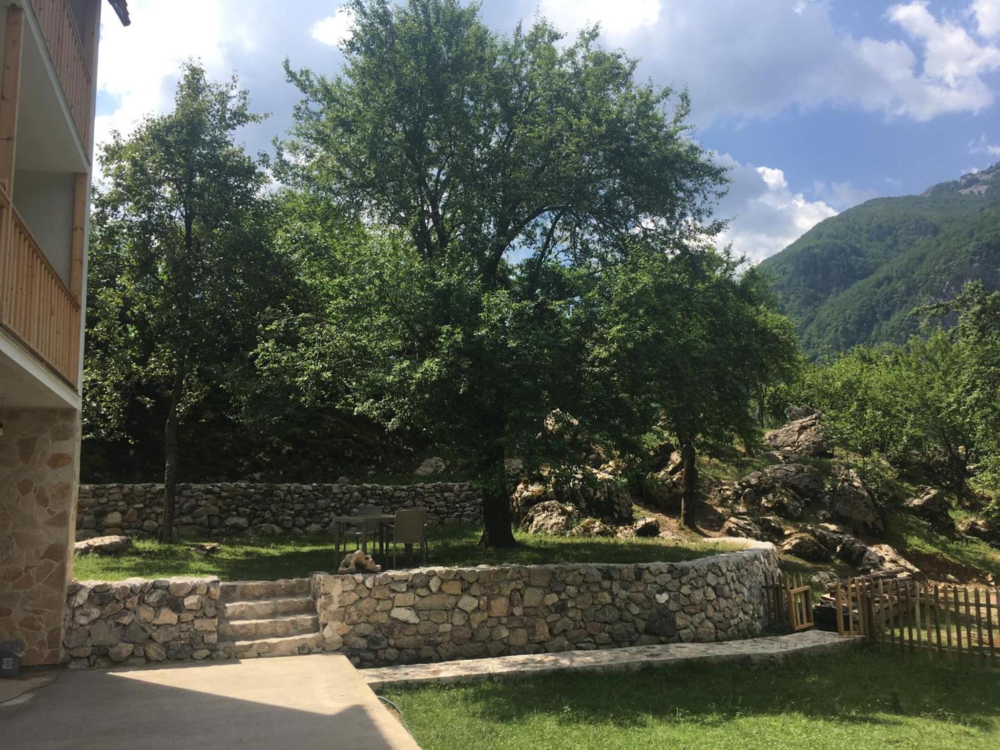 Bujtina Ziçi