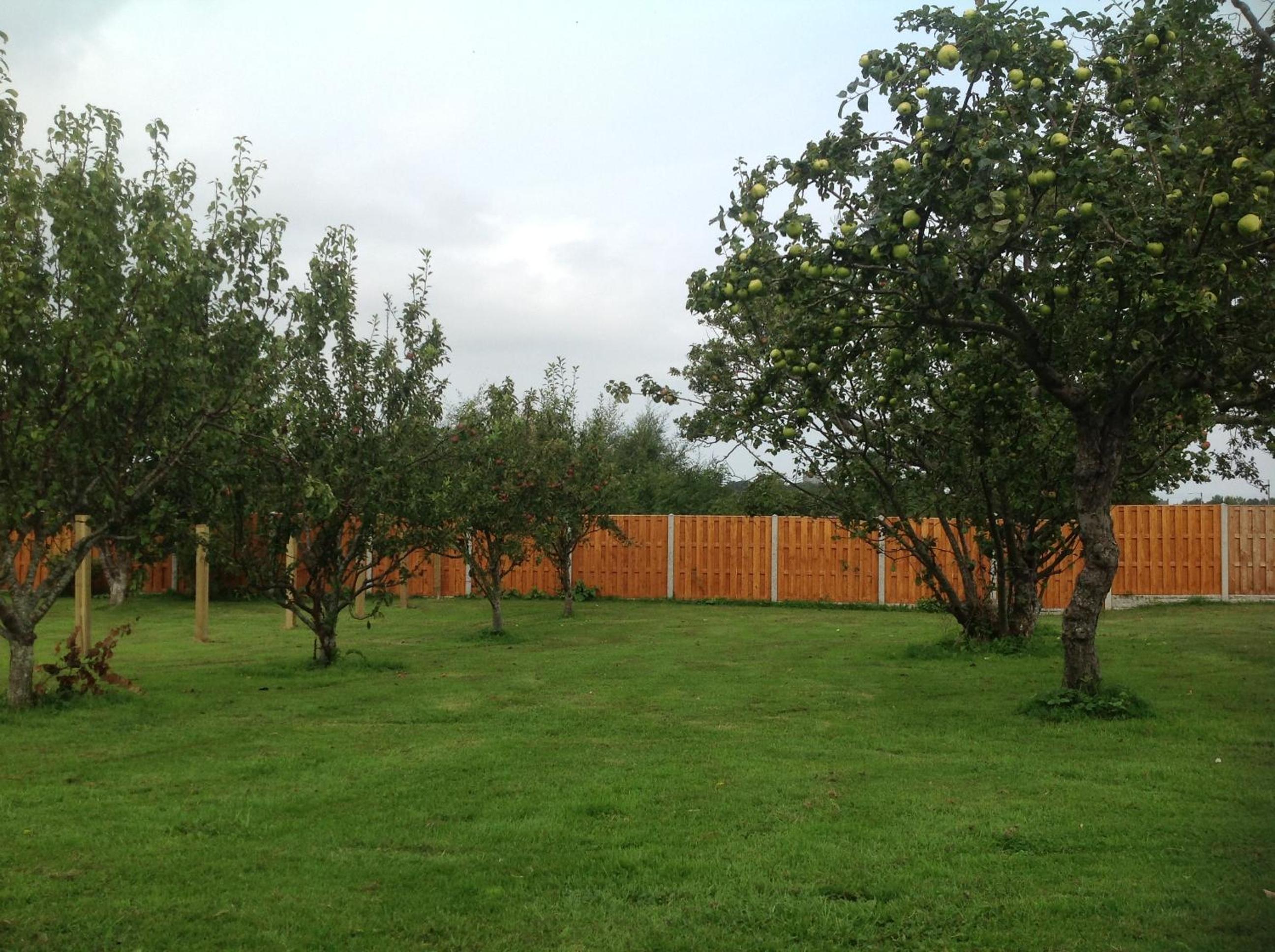Orme View Lodges view 4