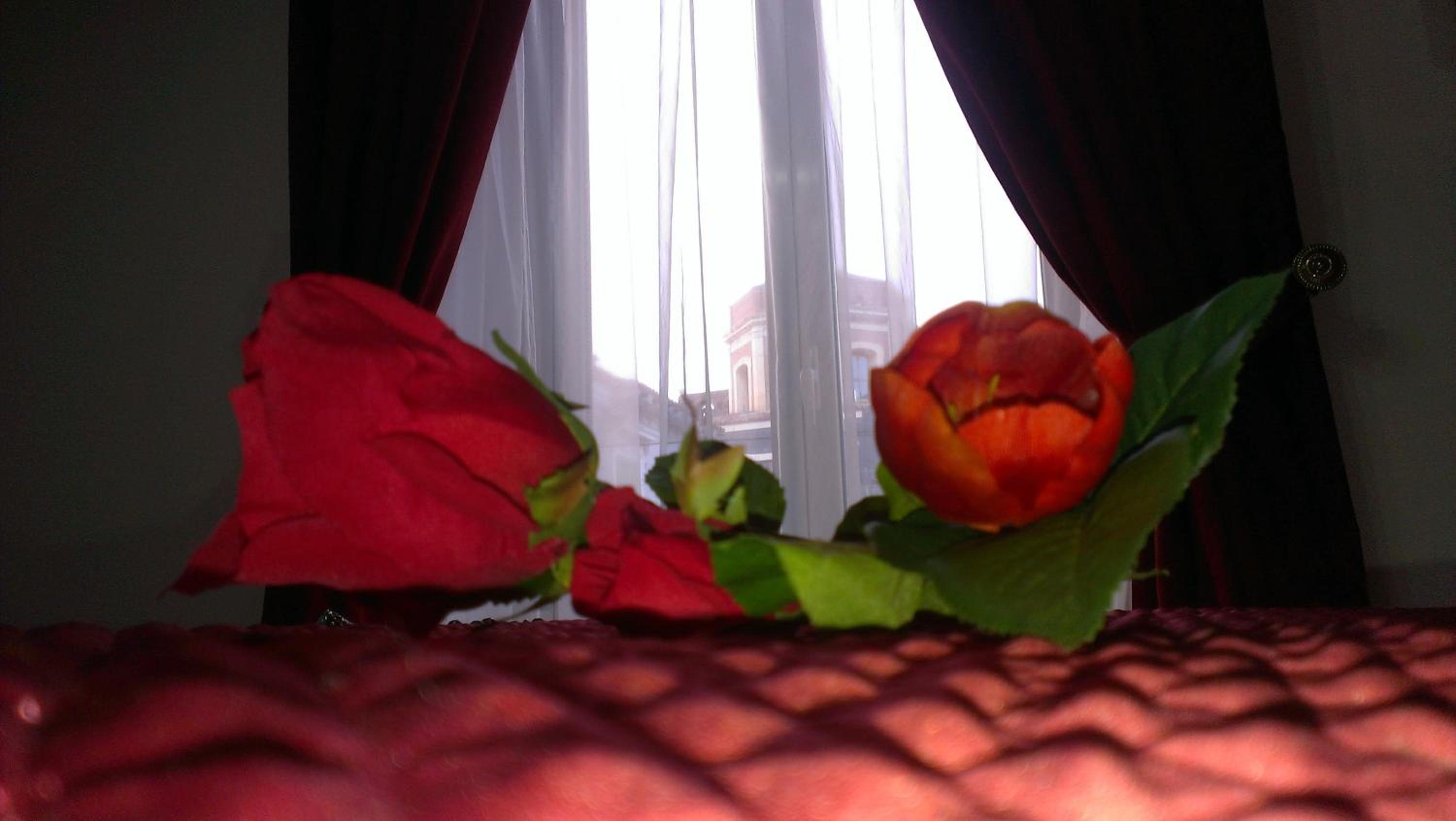 Photo 35