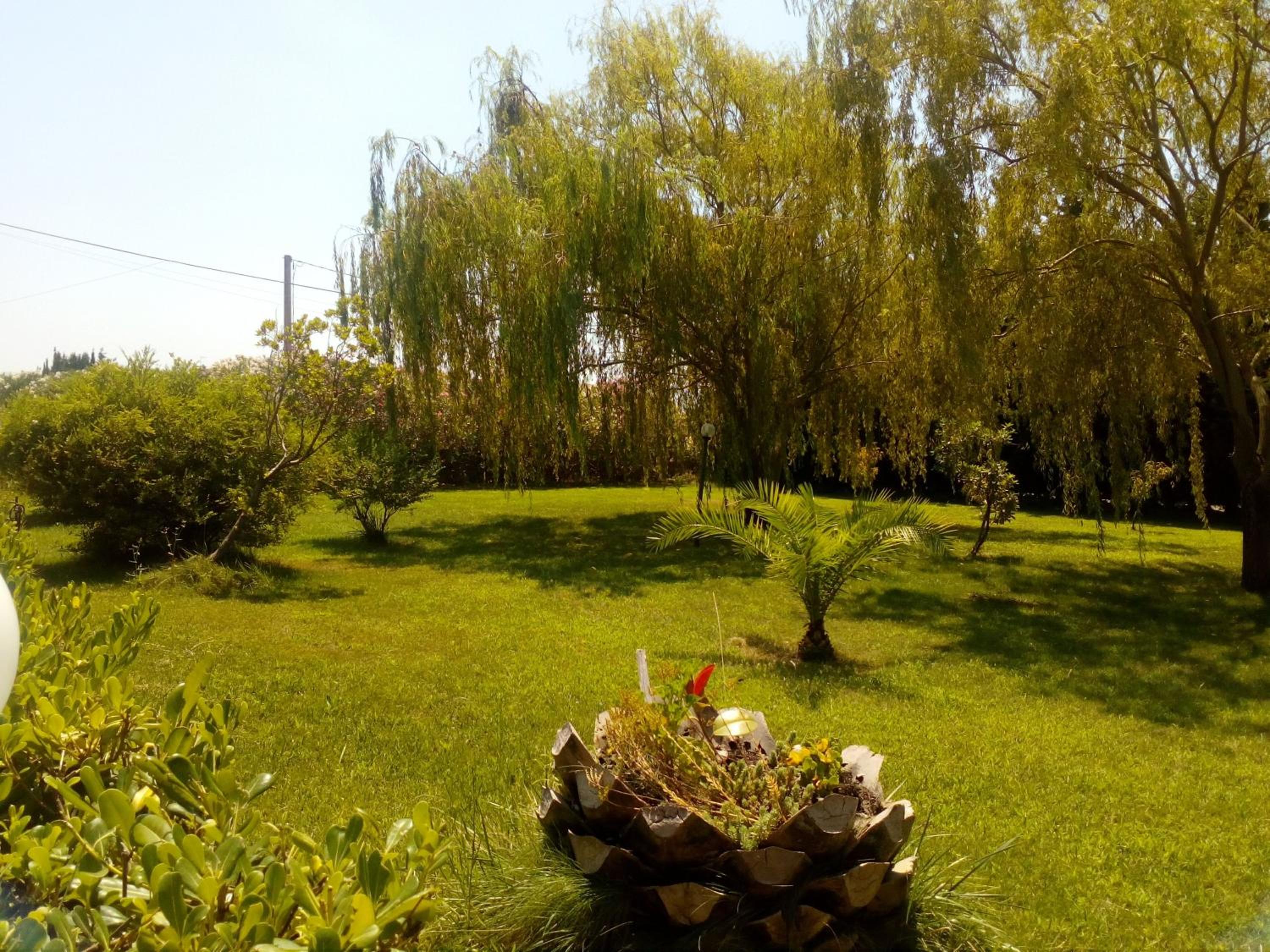 Photo 47