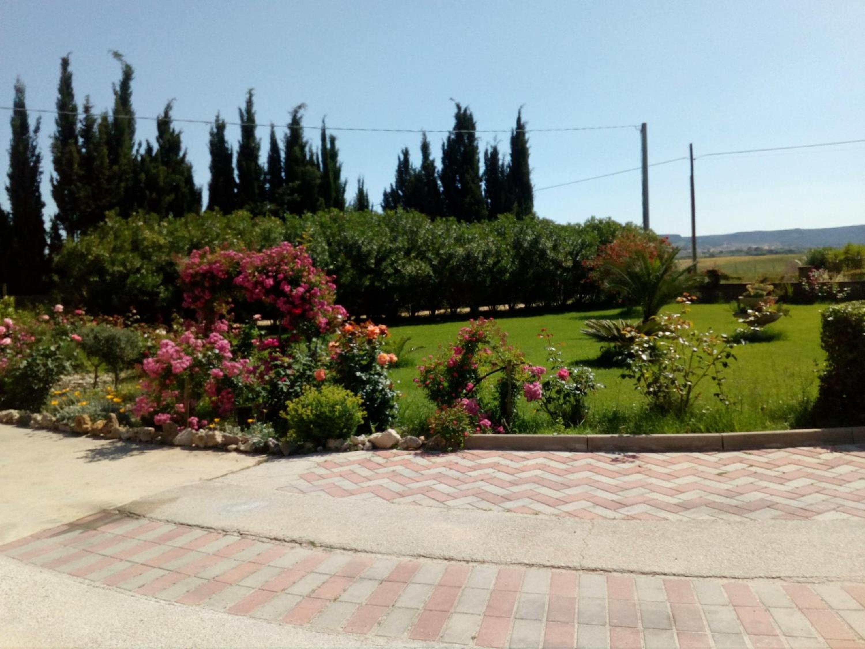 Photo 27