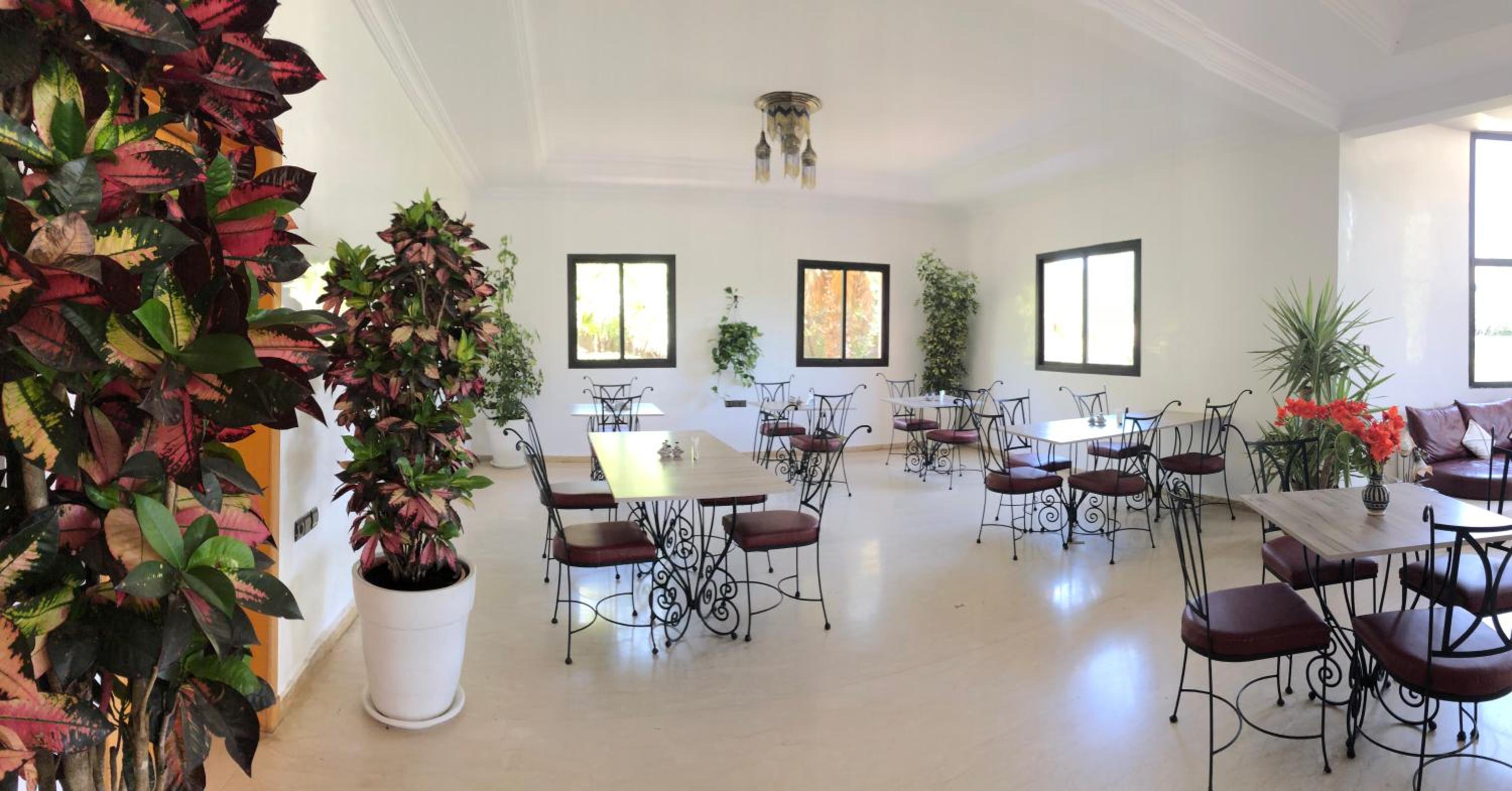Riad Hamdani view 5