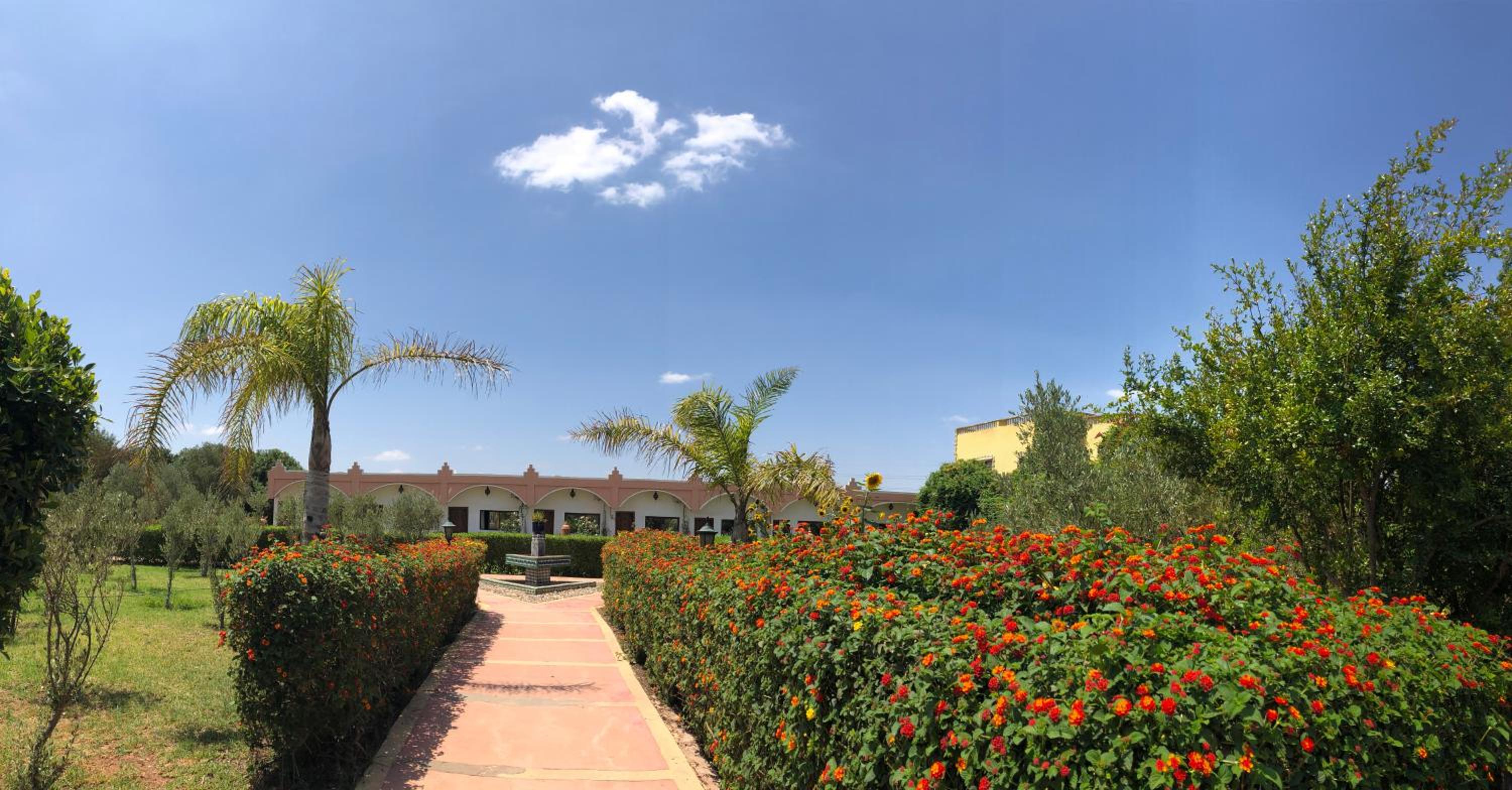 Riad Hamdani view 3