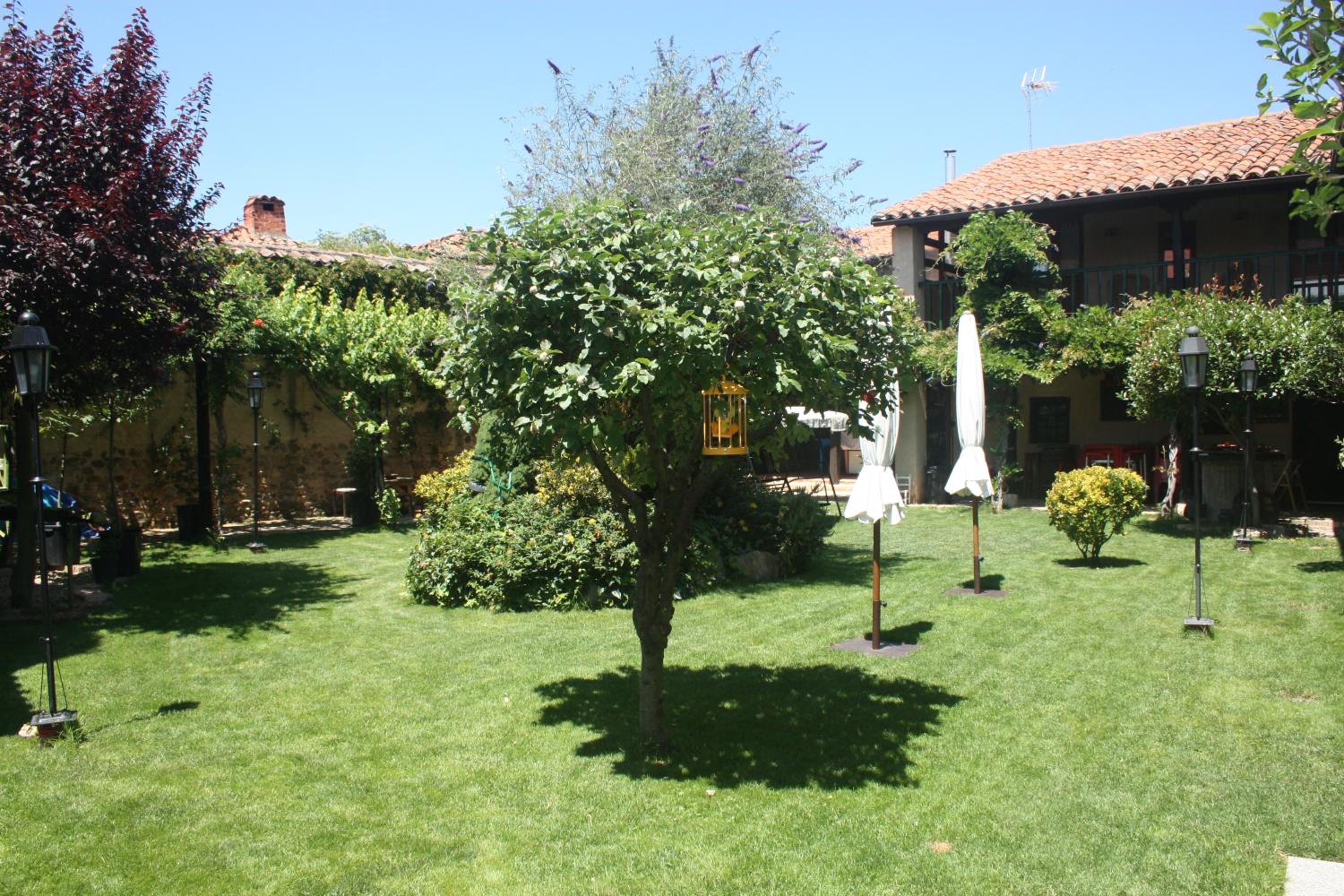 El Rinconcito de Llamas