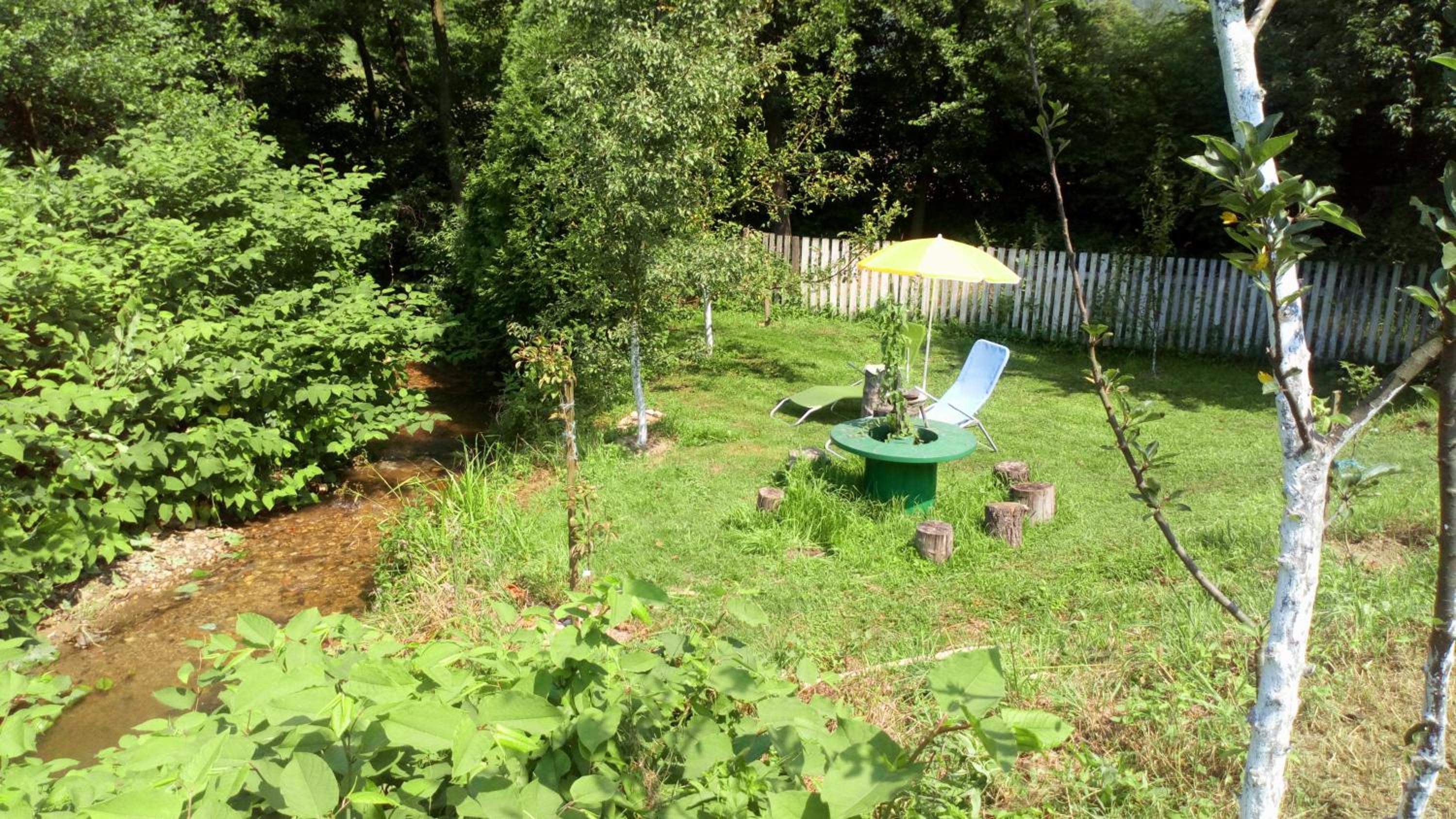 Cottage Forest Stream