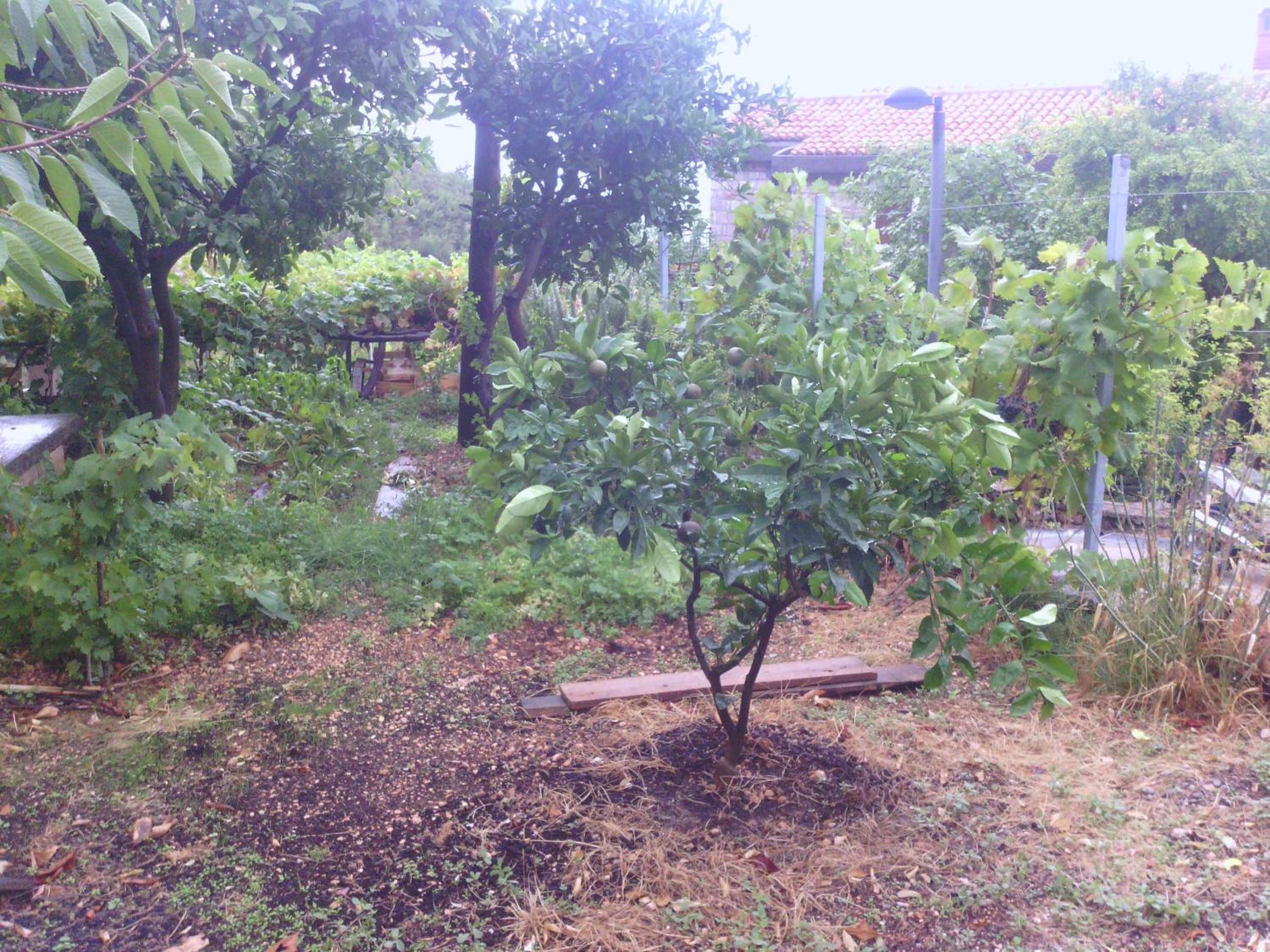 Photo 24