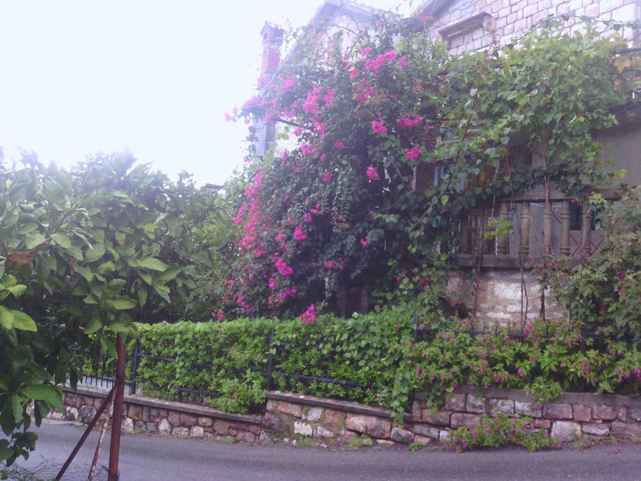 Photo 28