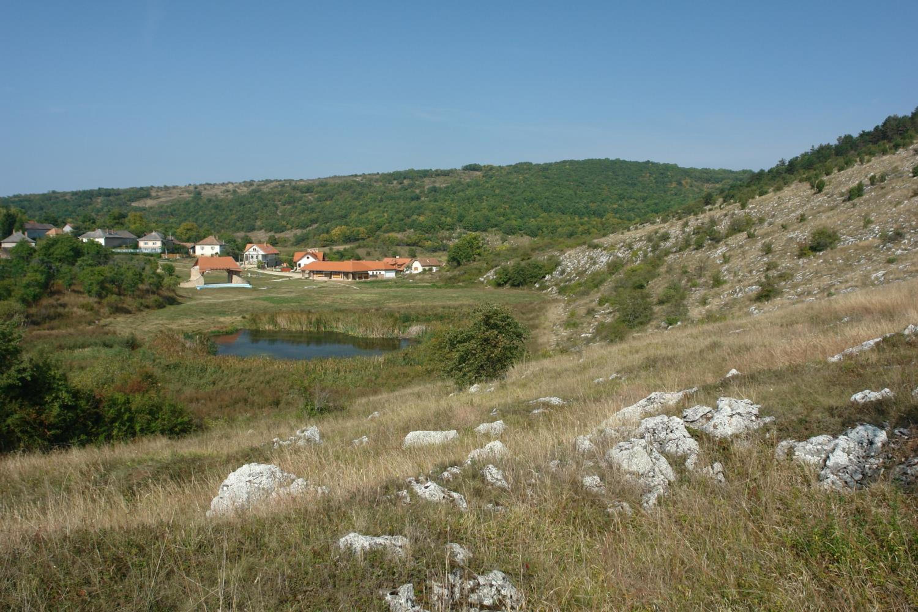 Photo 29