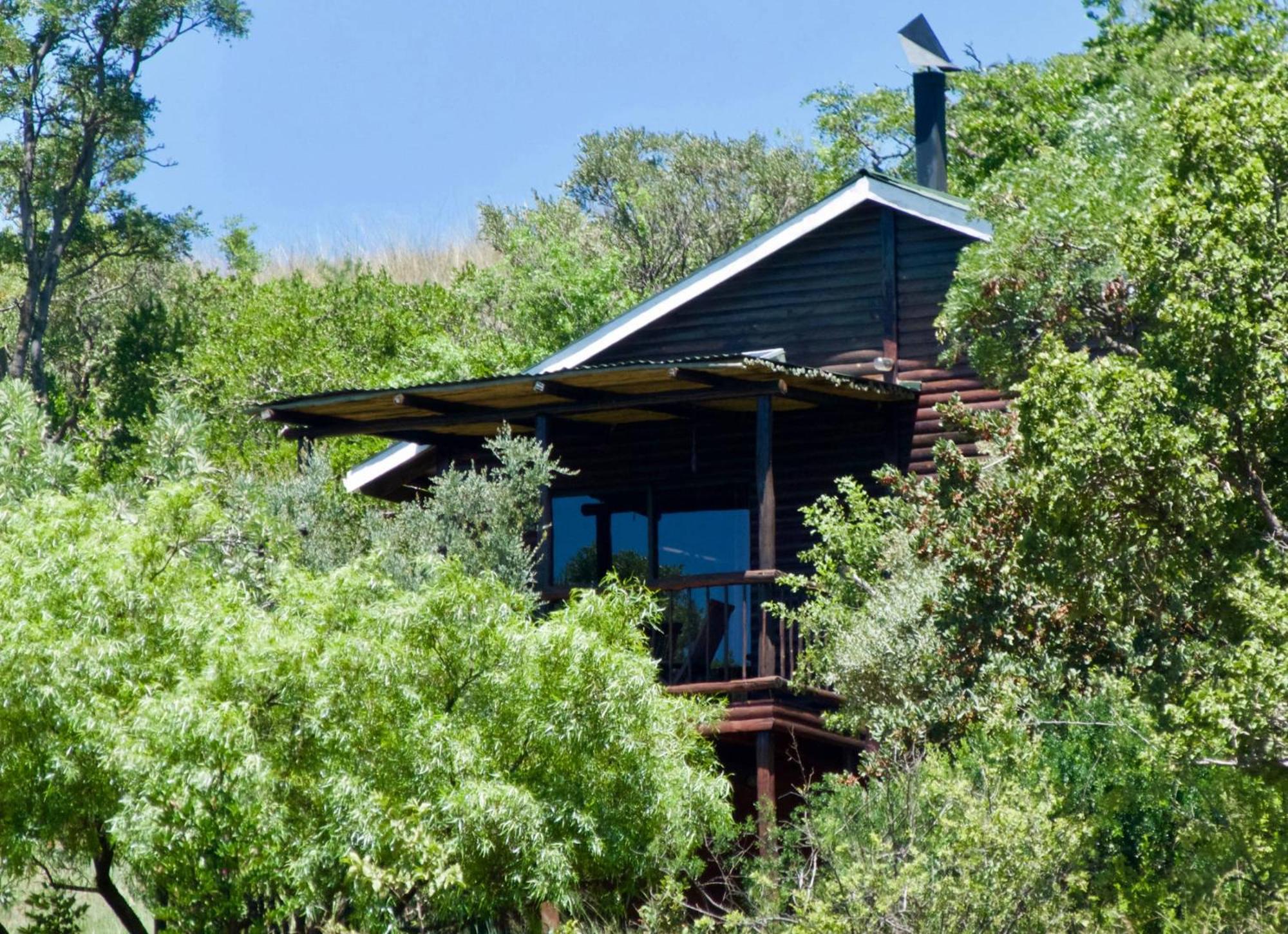 Kokopelli farm view 5