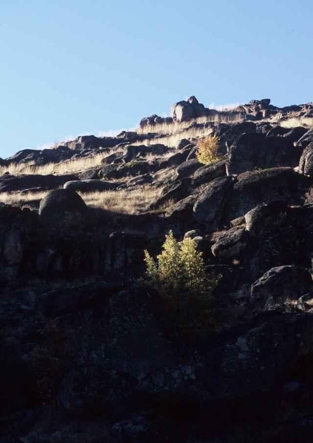 Photo 35