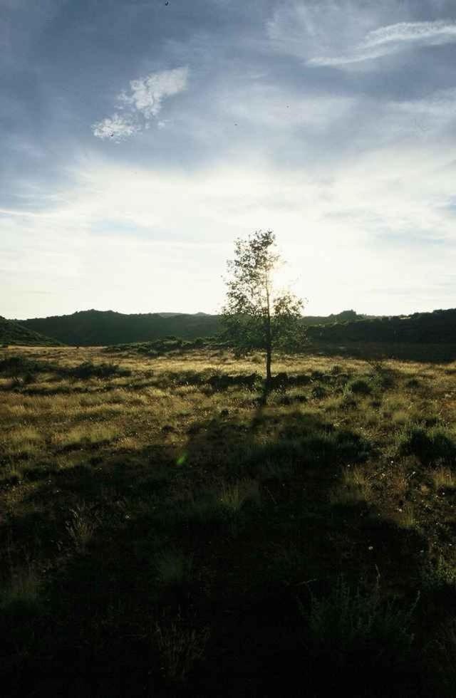 Photo 33