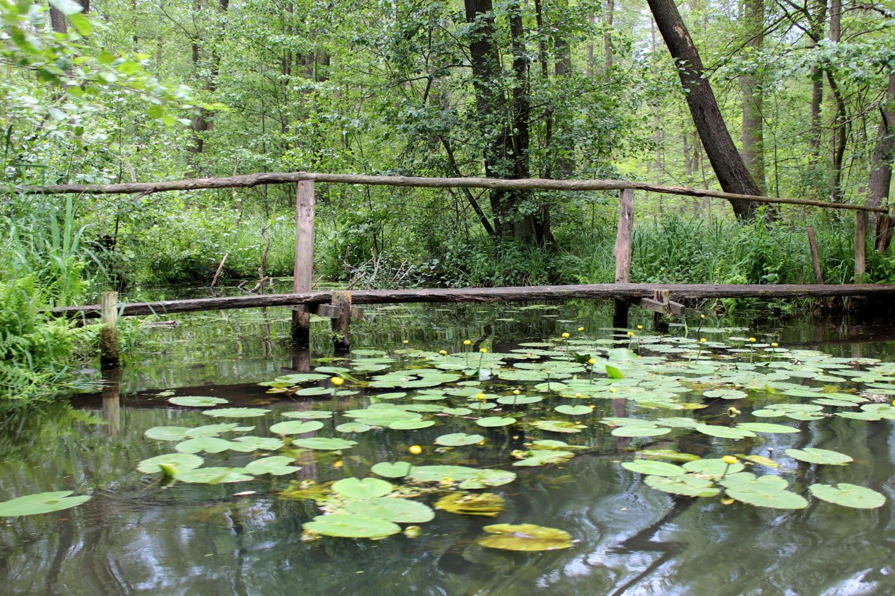 Spreewald Unterkünfte