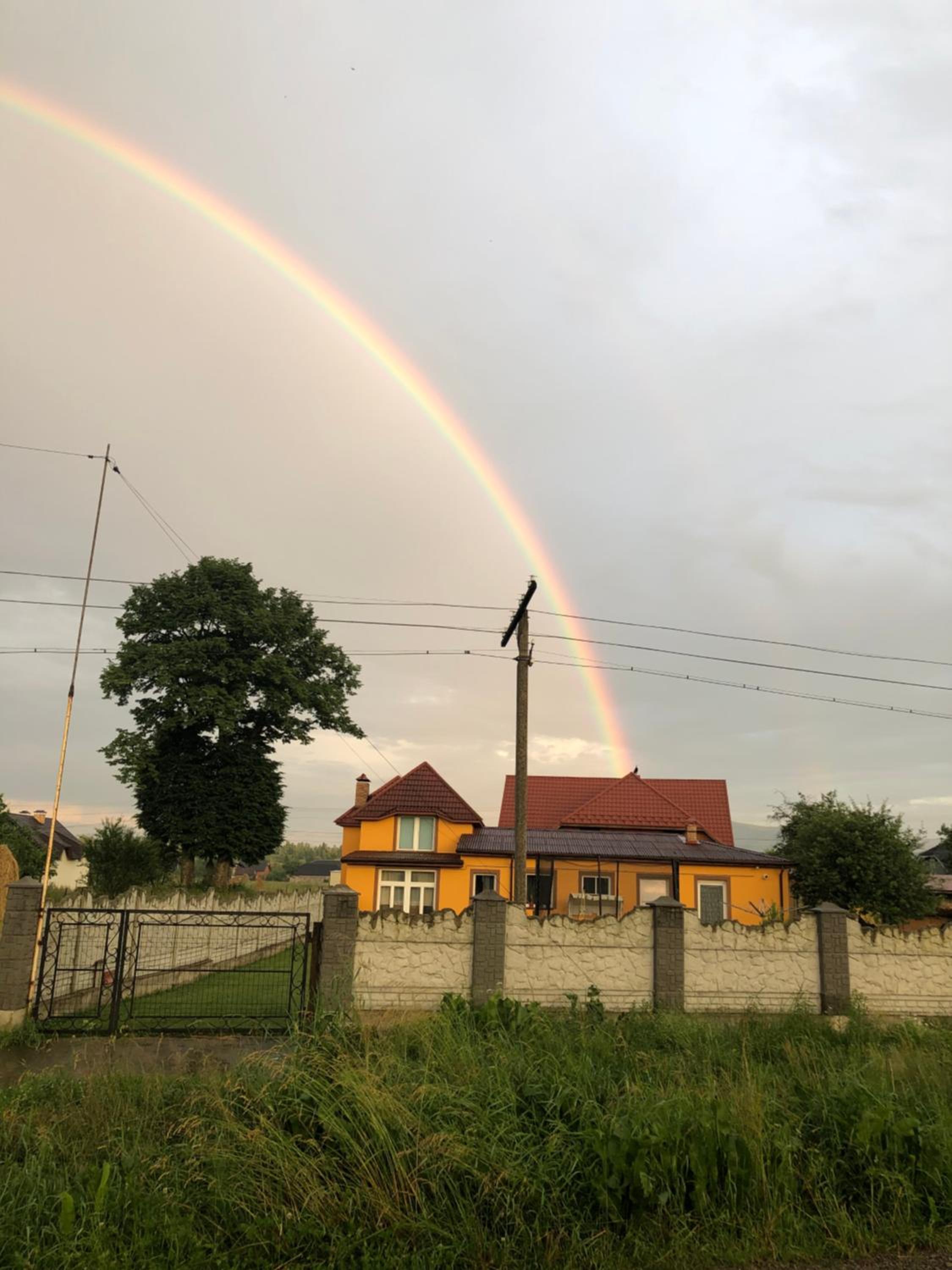 Photo 46