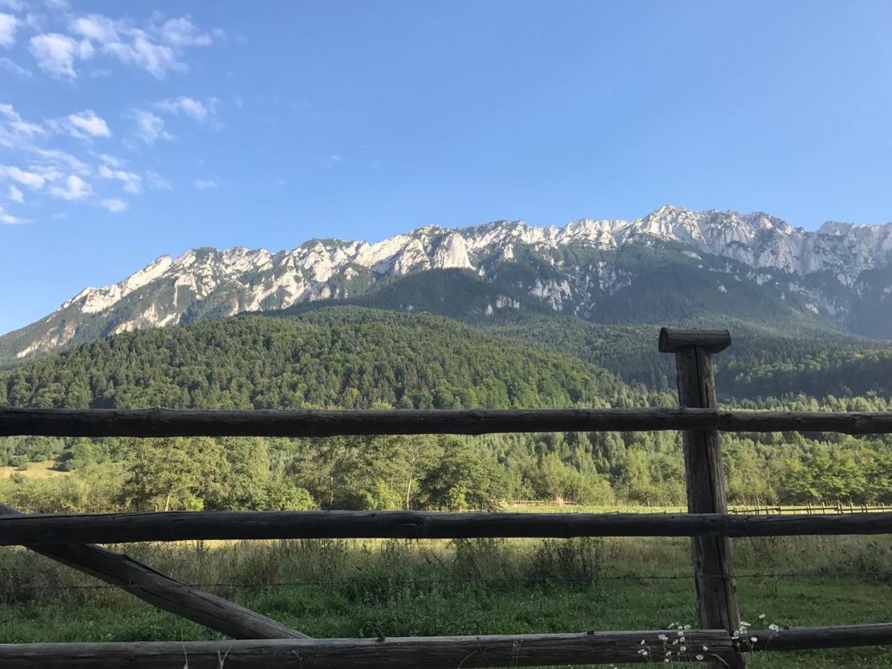 Pensiunea Kyfana Zarnesti view 3