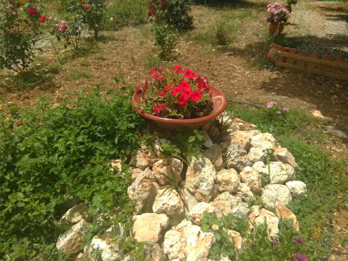 Photo 64