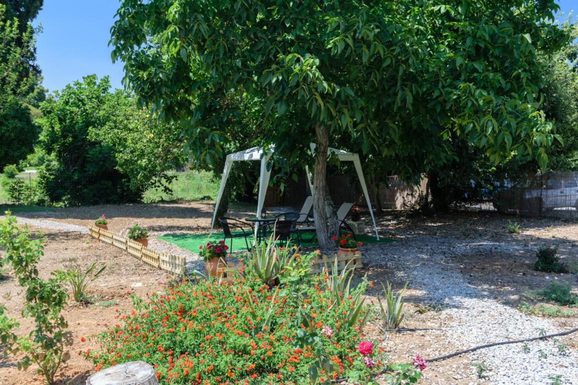 Diogenis Residence Euphoria view 4