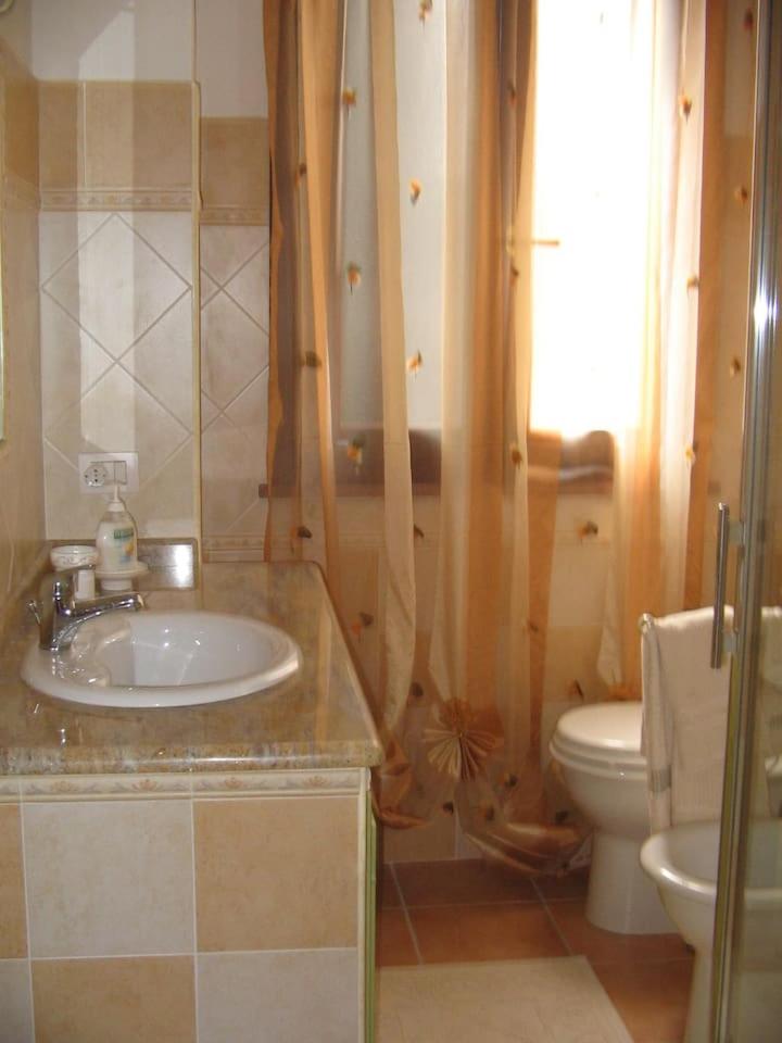 CASA PUTIFIGARI view 4