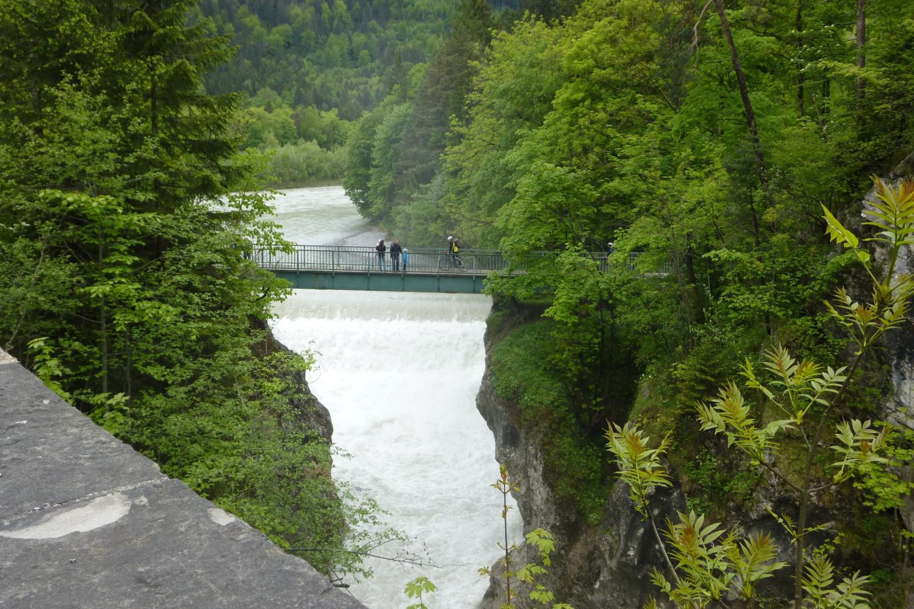Steigmühle Pension Garni