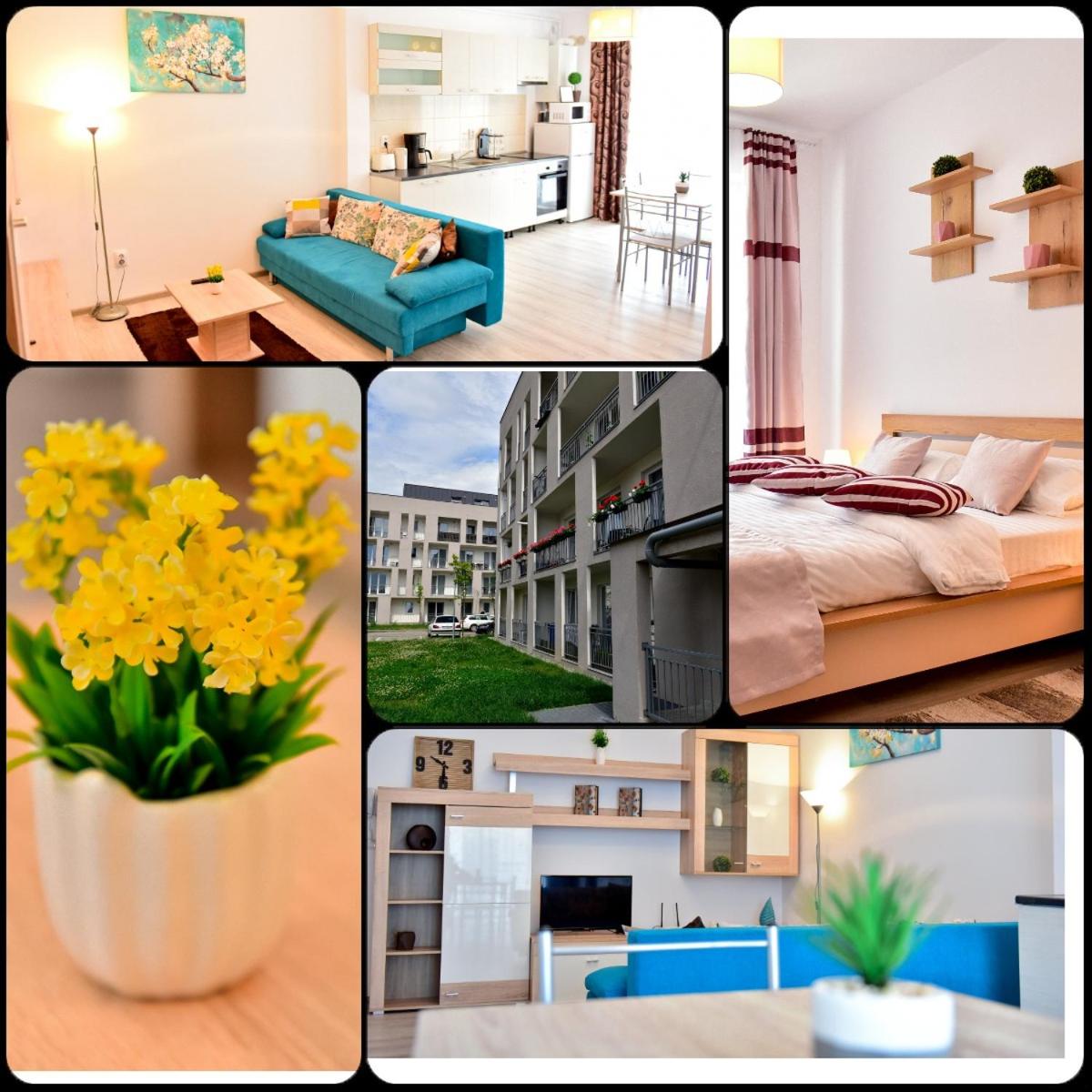 FLH - Apartament Central Silva view 3