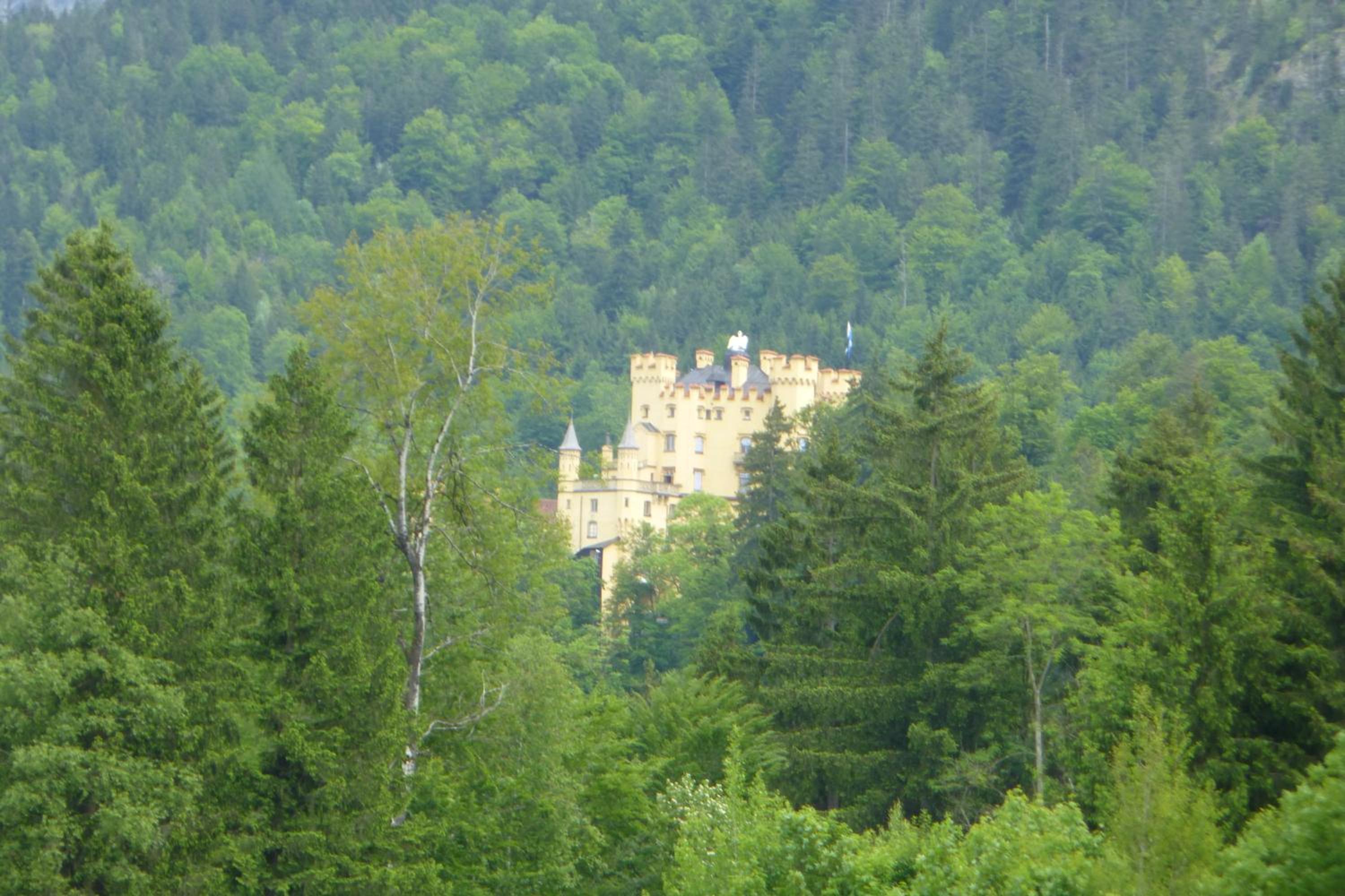 Steigmühle Pension Garni