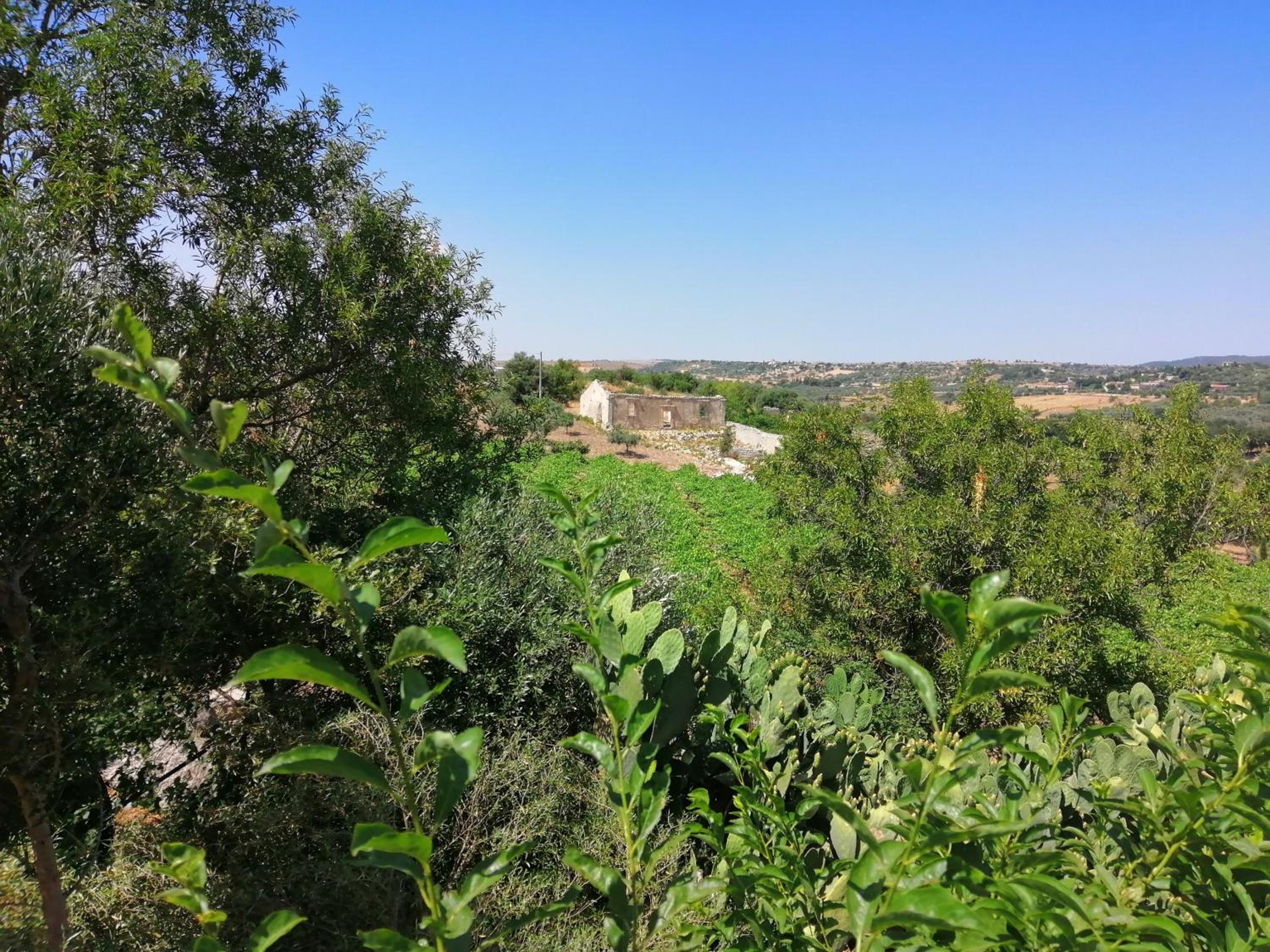 Poggio del Gallo view 2