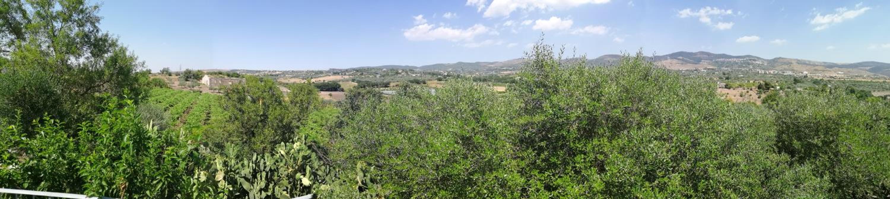 Poggio del Gallo view 3
