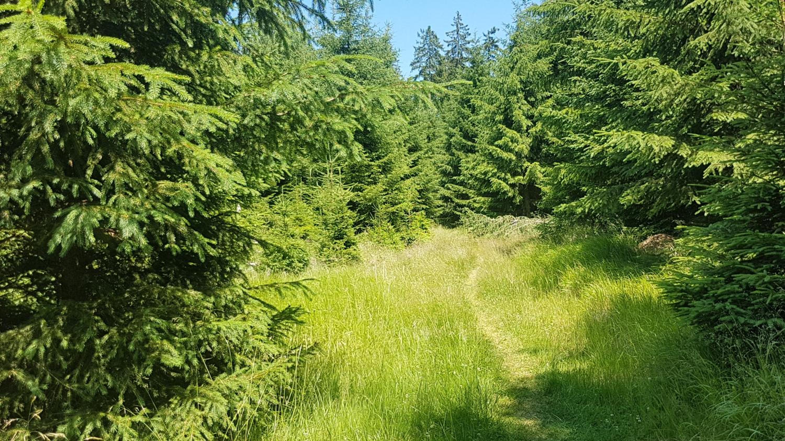 Apartmán U kolonády