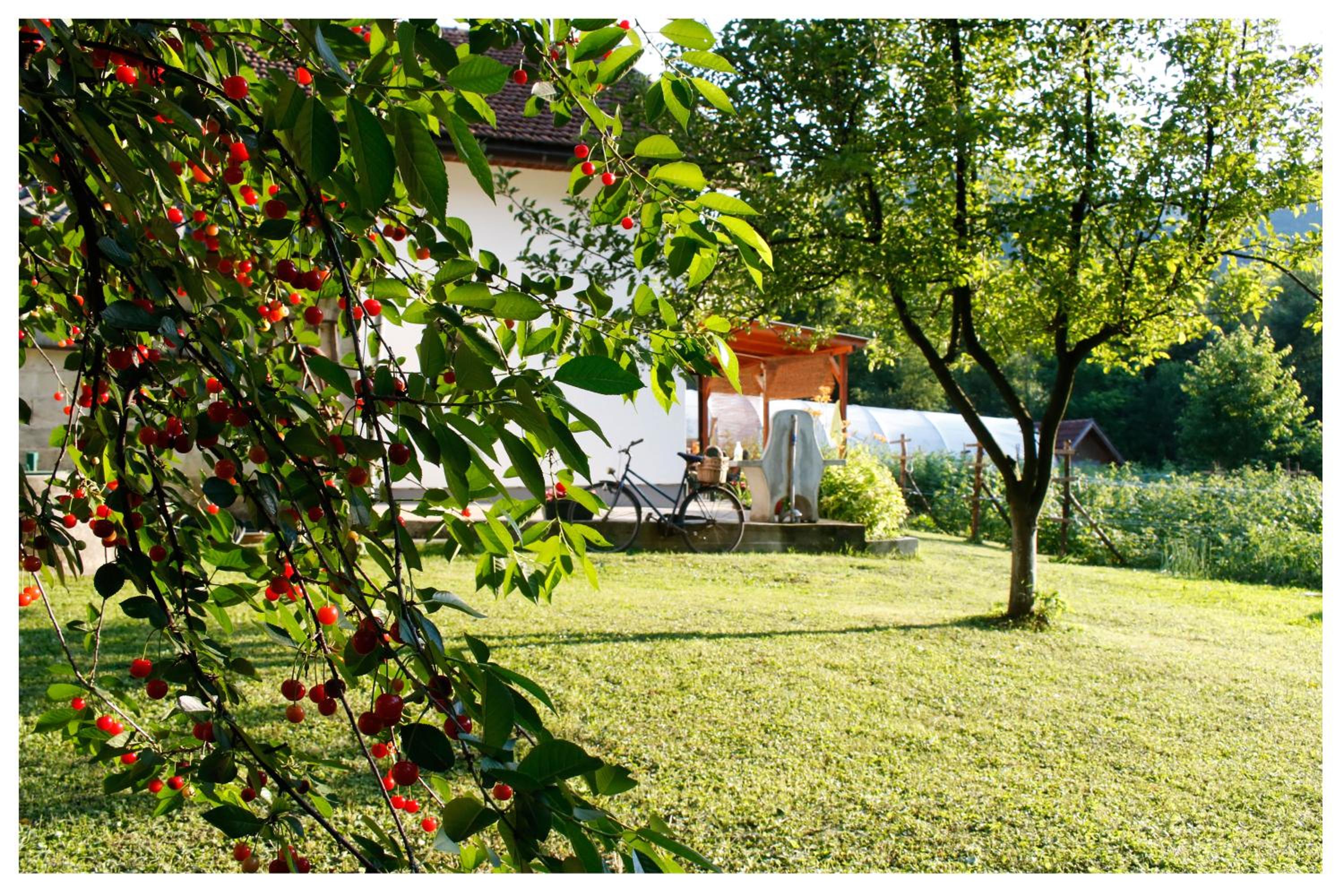 Holiday Residence Burić