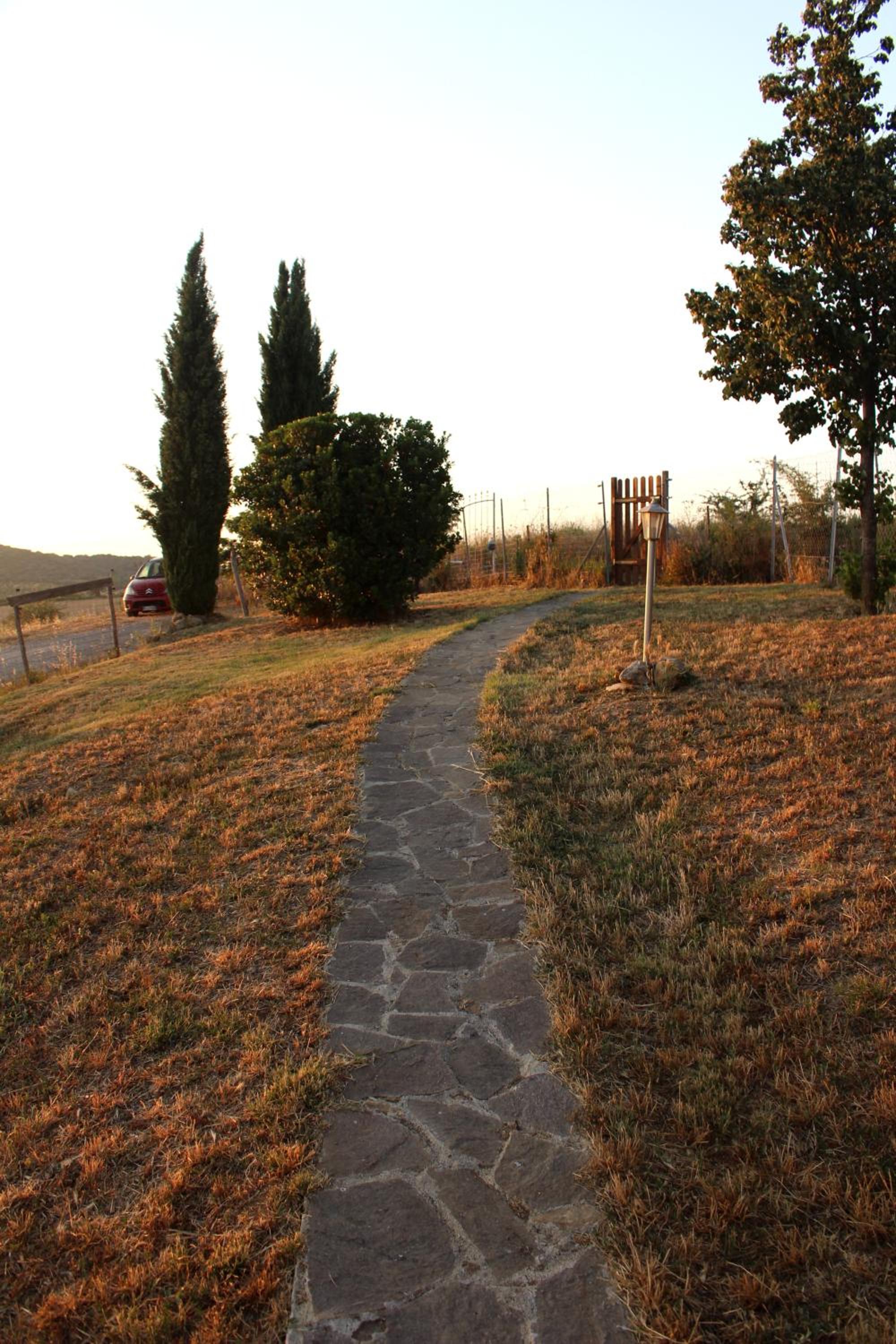 Photo 31