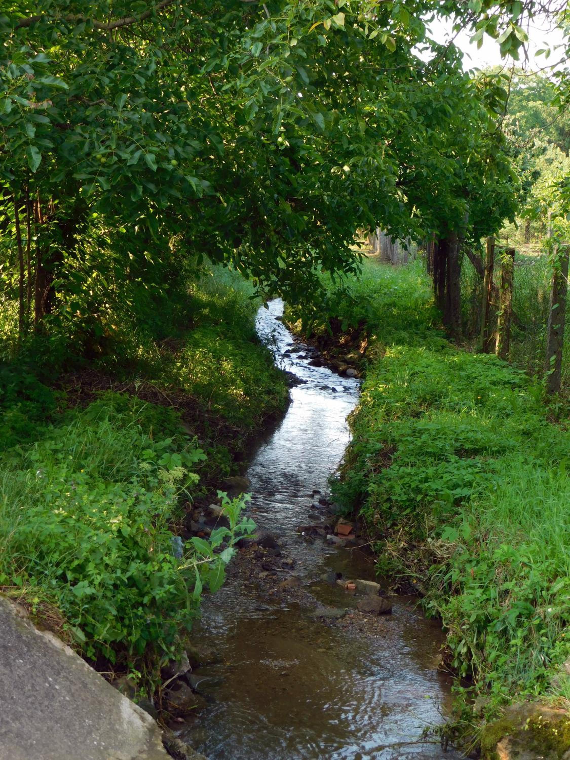 Photo 52