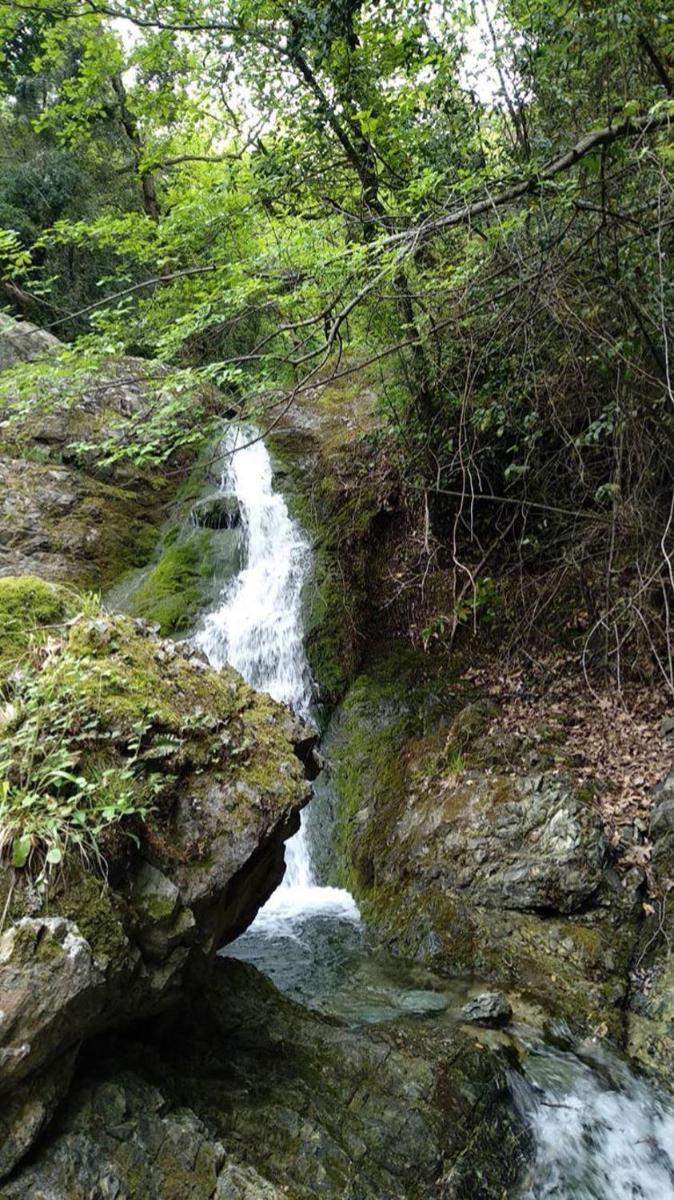Photo 41