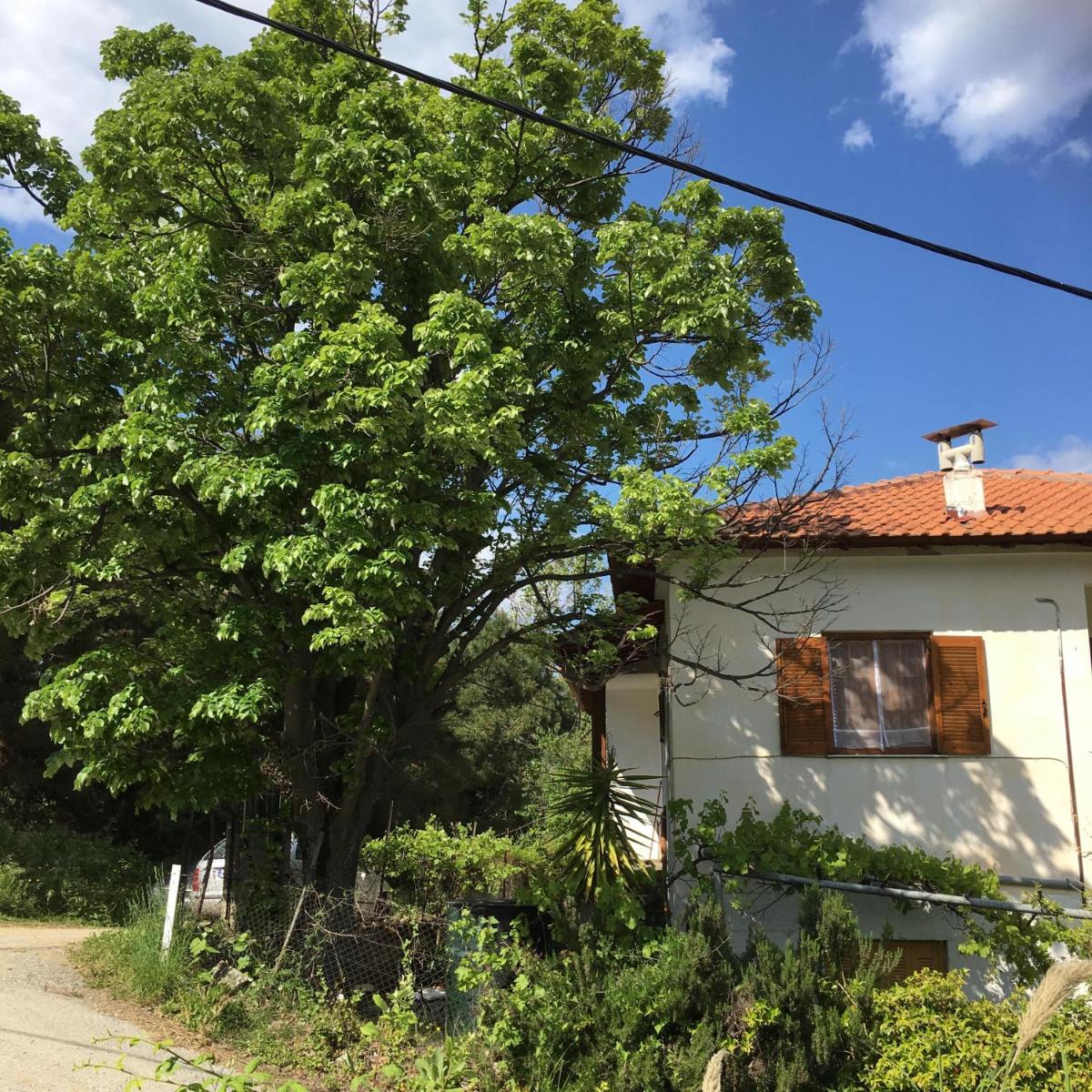 Photo 36
