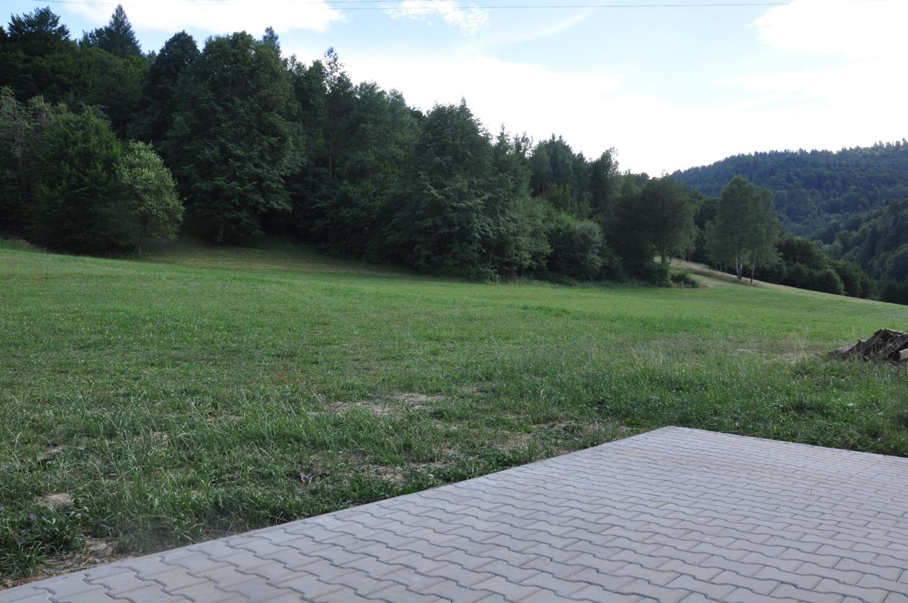 Photo 31