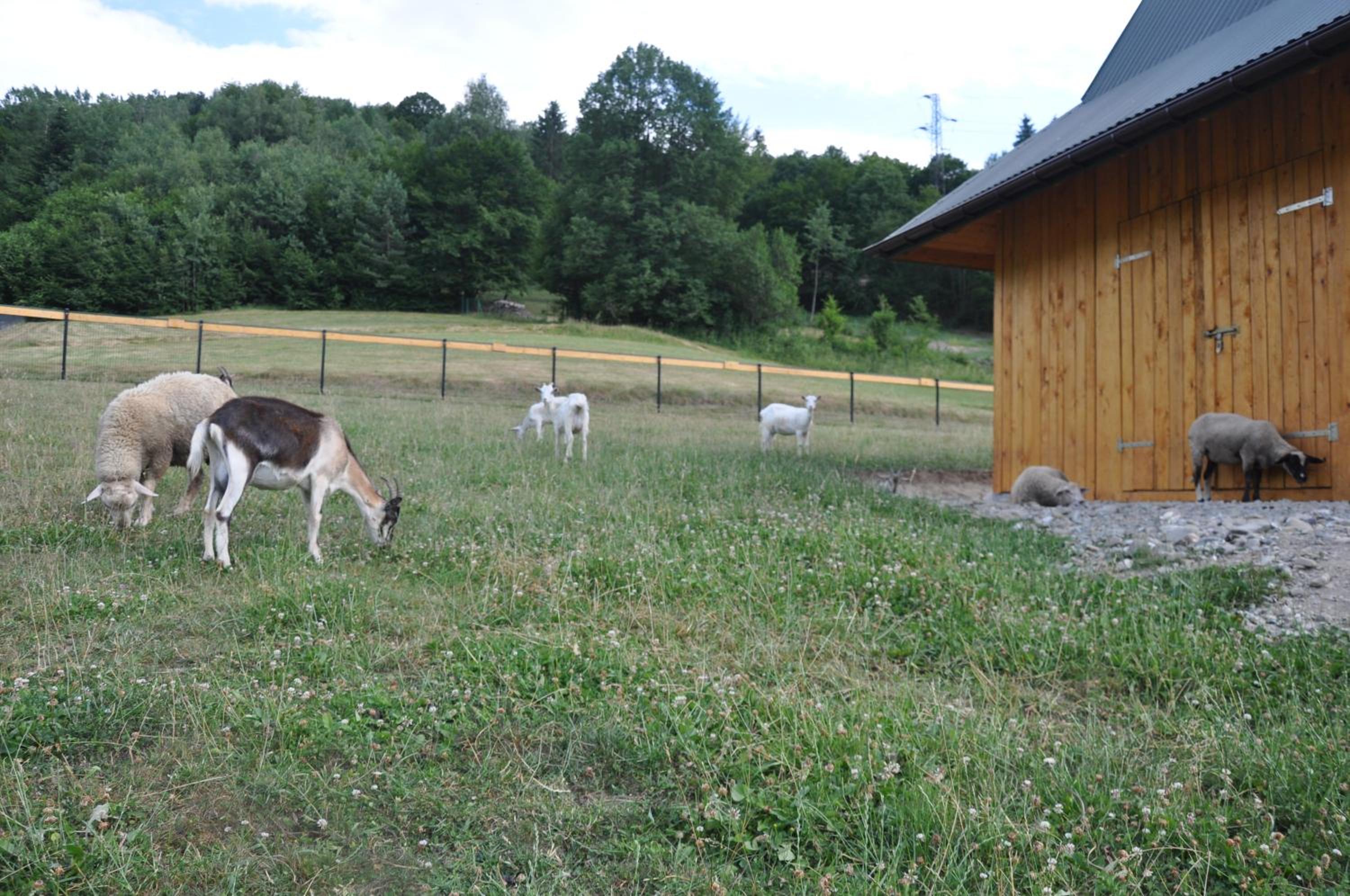 Photo 22