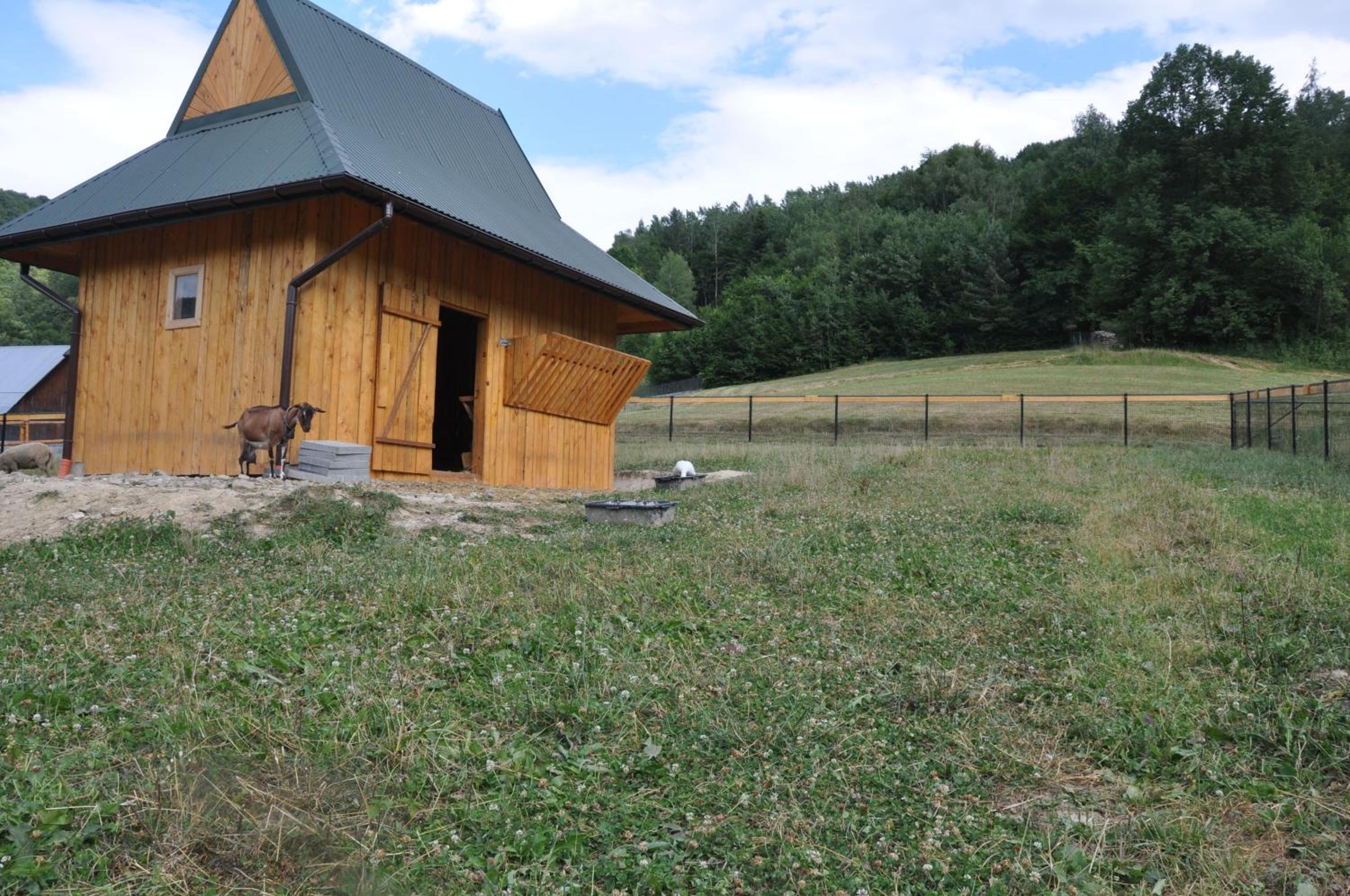 Photo 19