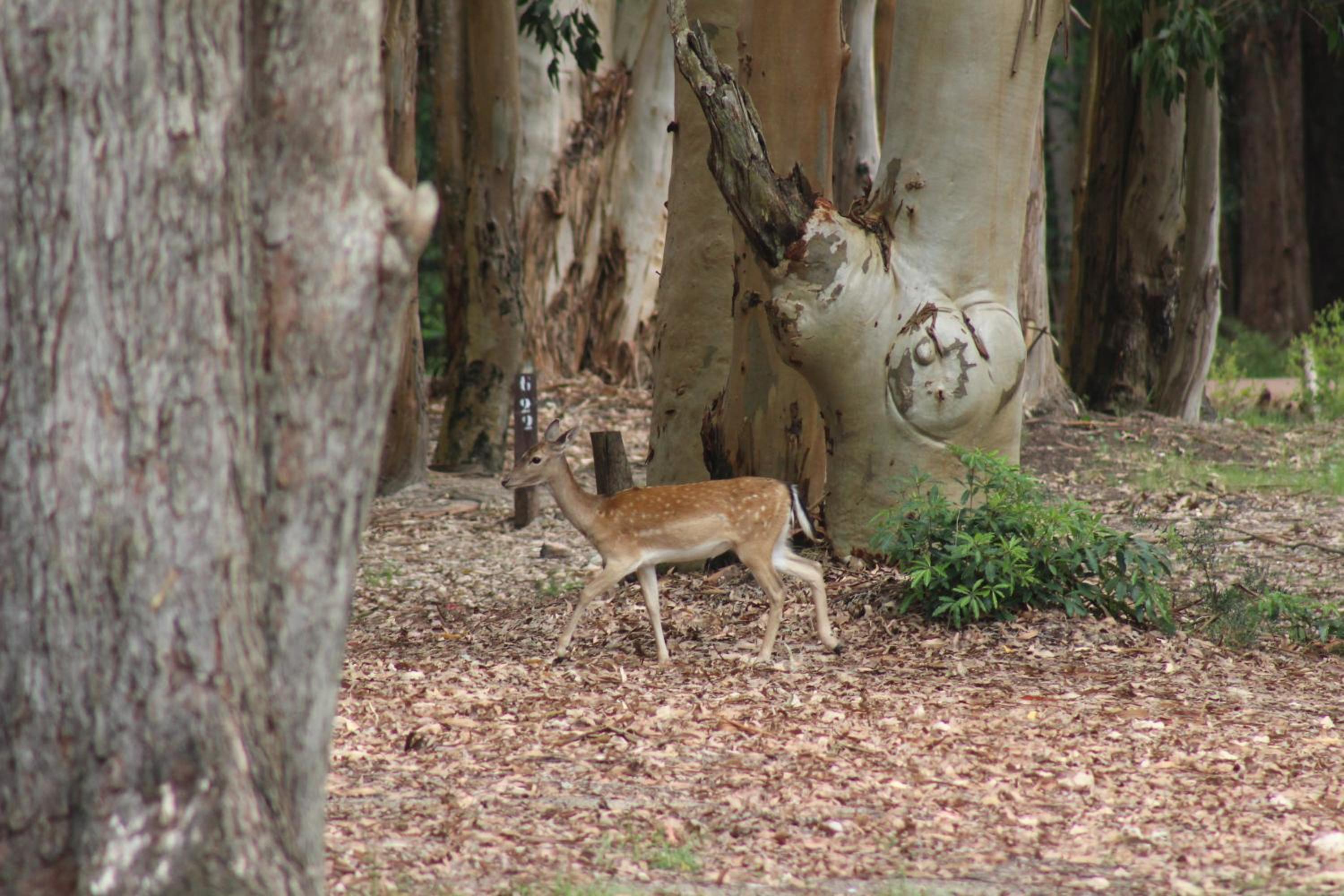 Photo 47