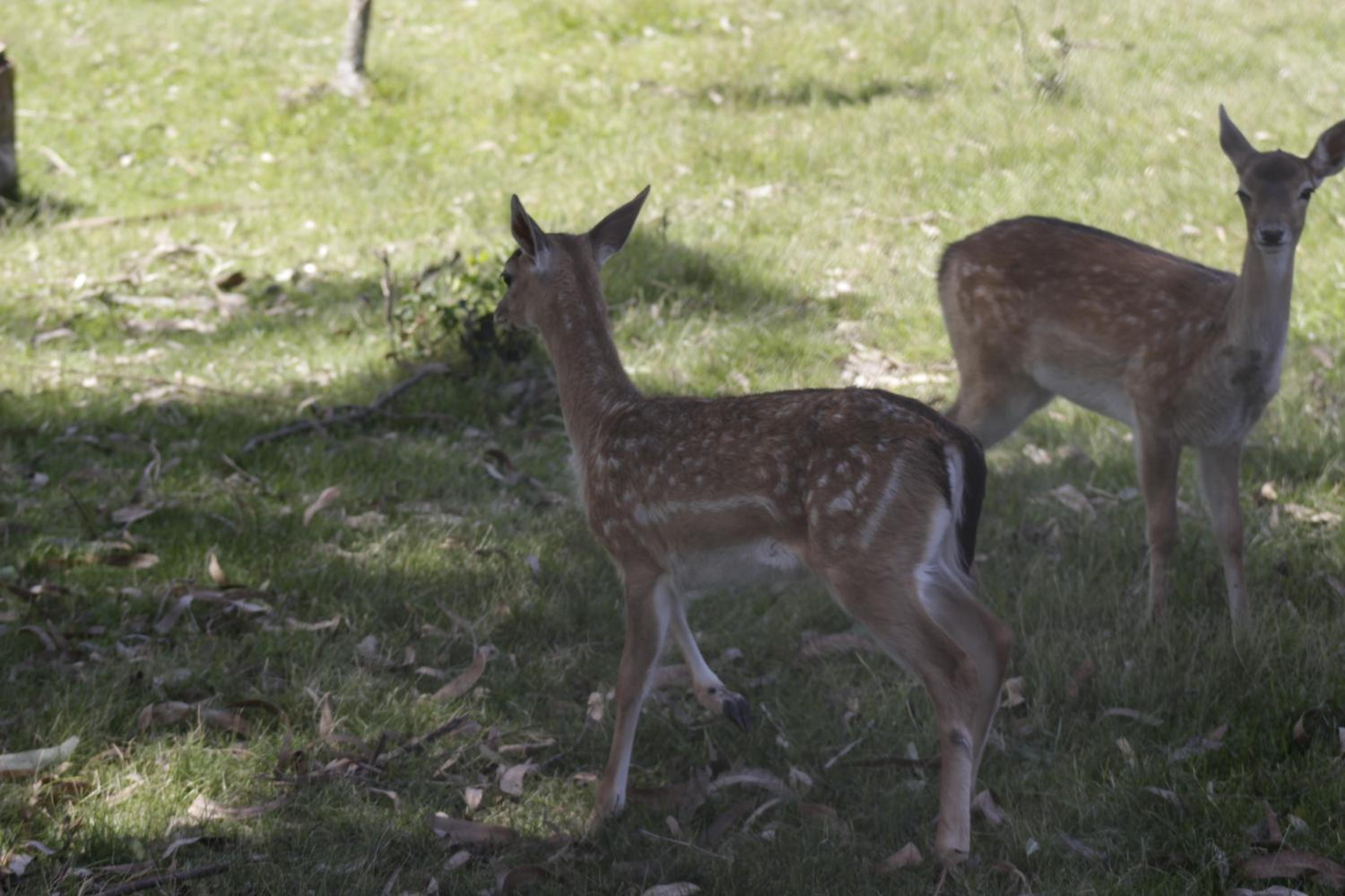 Photo 46