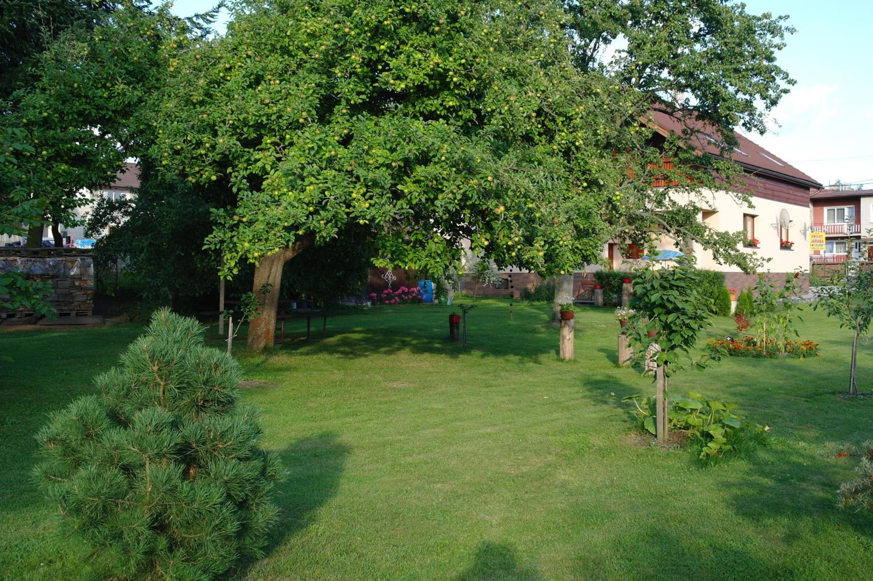 Photo 54